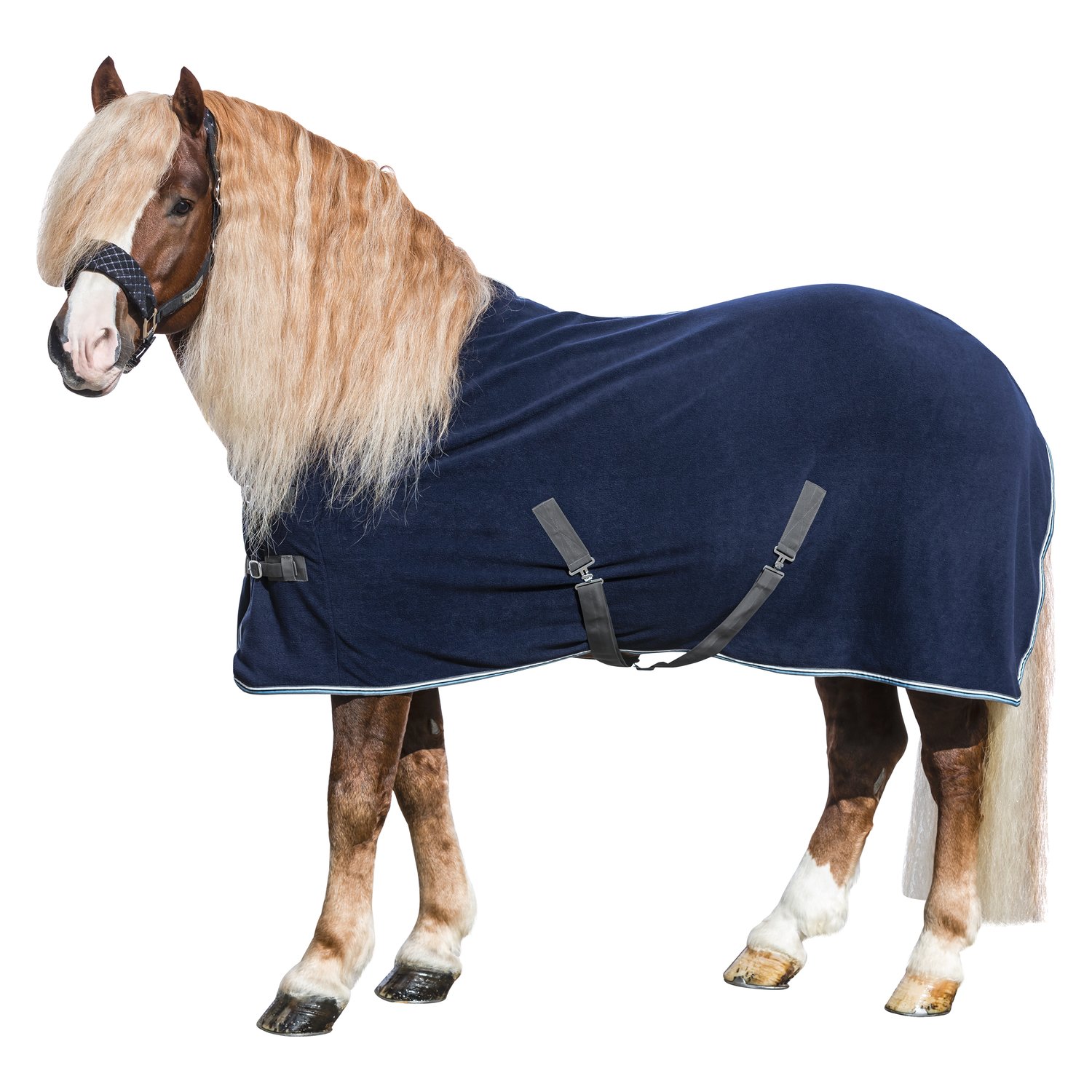Horse-friends Abschwitzdecke XL – Ansicht 1