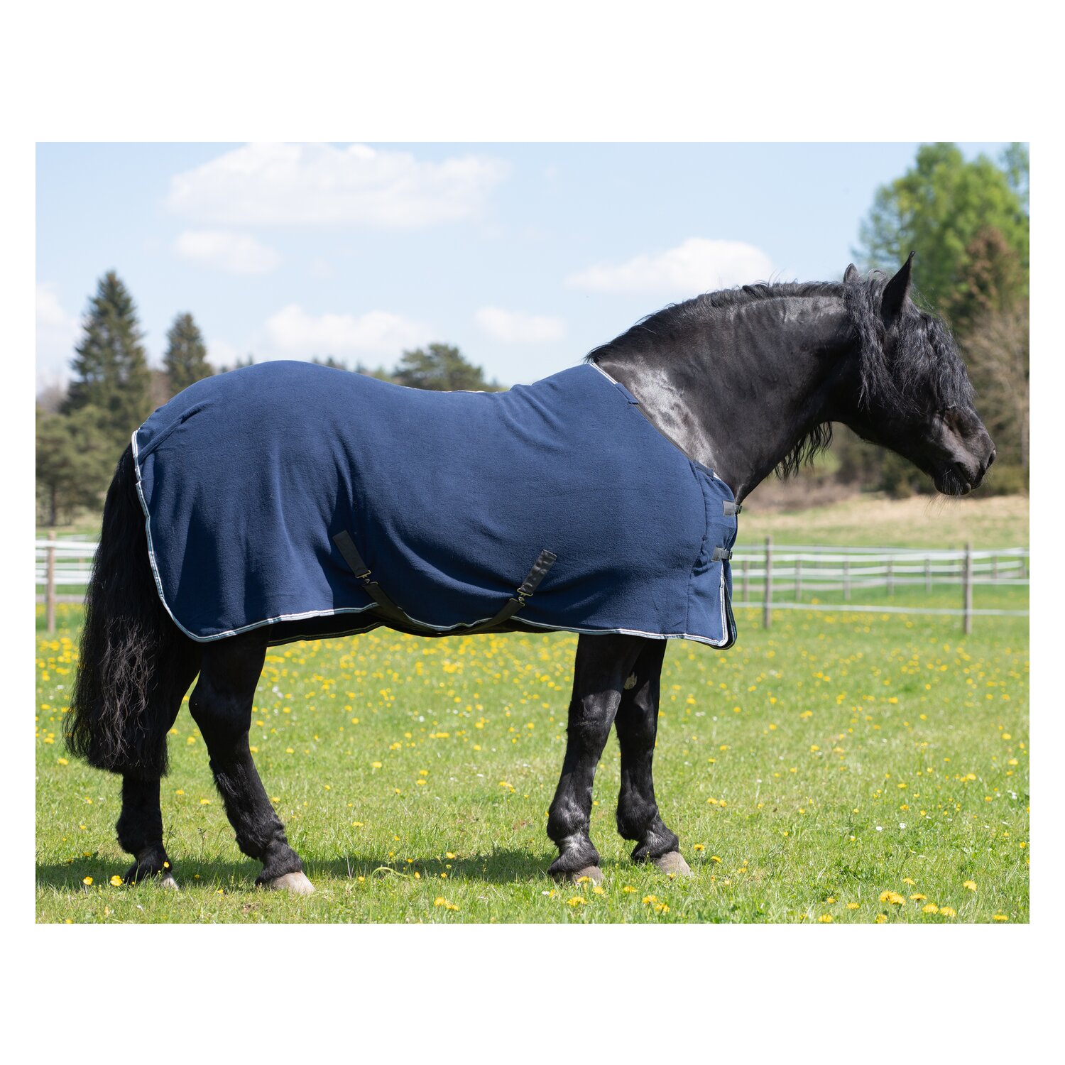 Horse-friends Abschwitzdecke XL – Ansicht 2