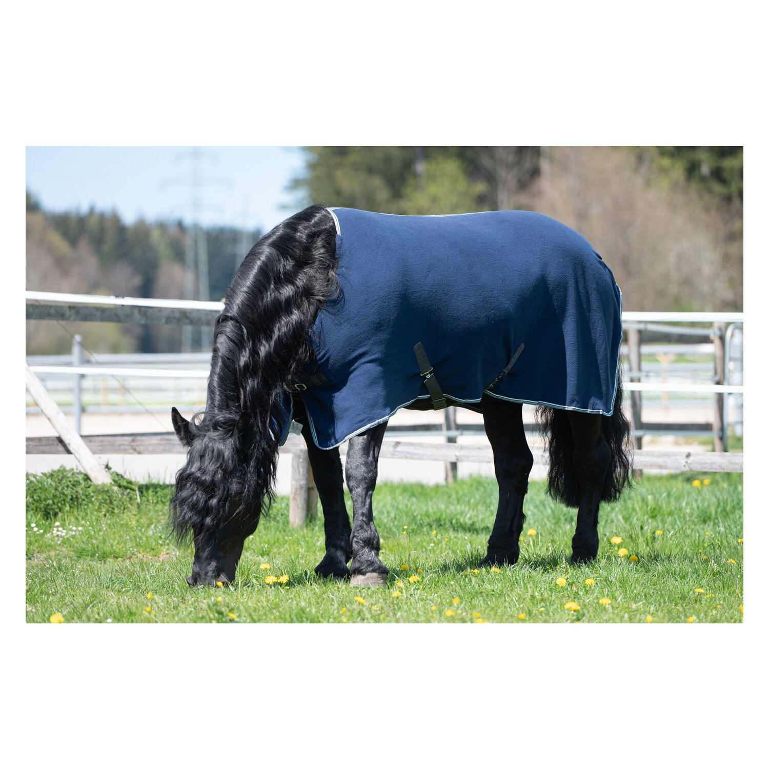 Horse-friends Abschwitzdecke XL – Ansicht 3