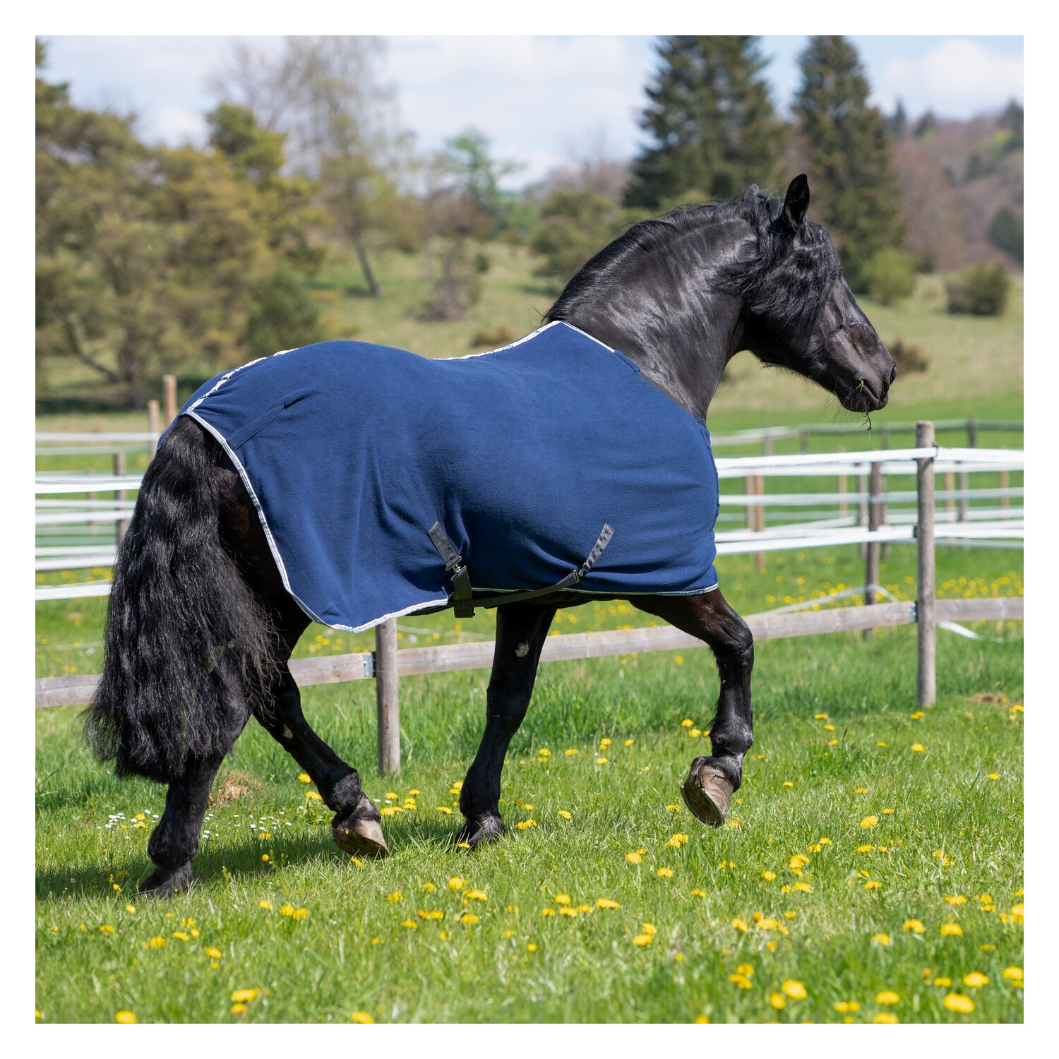 Horse-friends Abschwitzdecke XL – Ansicht 4
