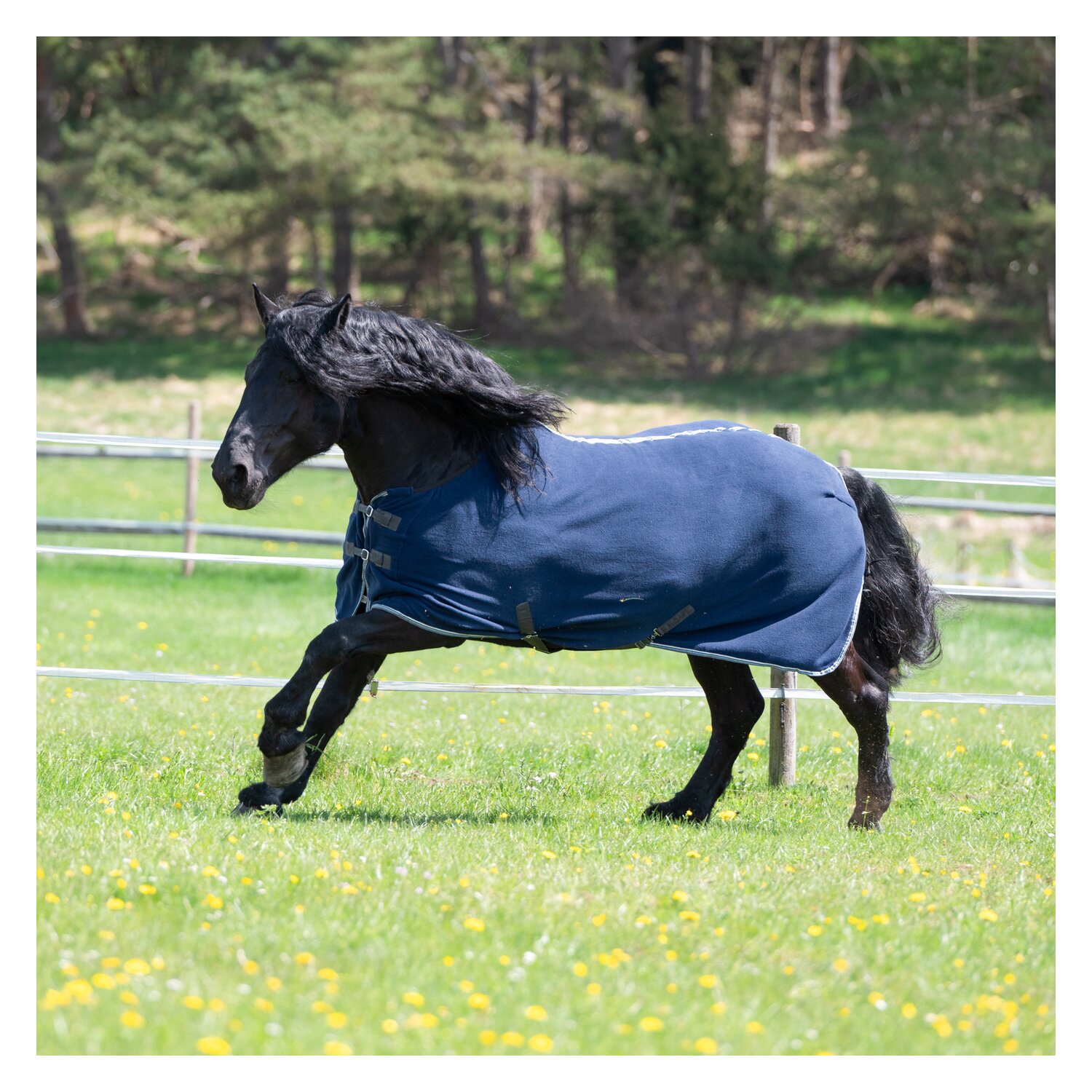 Horse-friends Abschwitzdecke XL – Ansicht 5