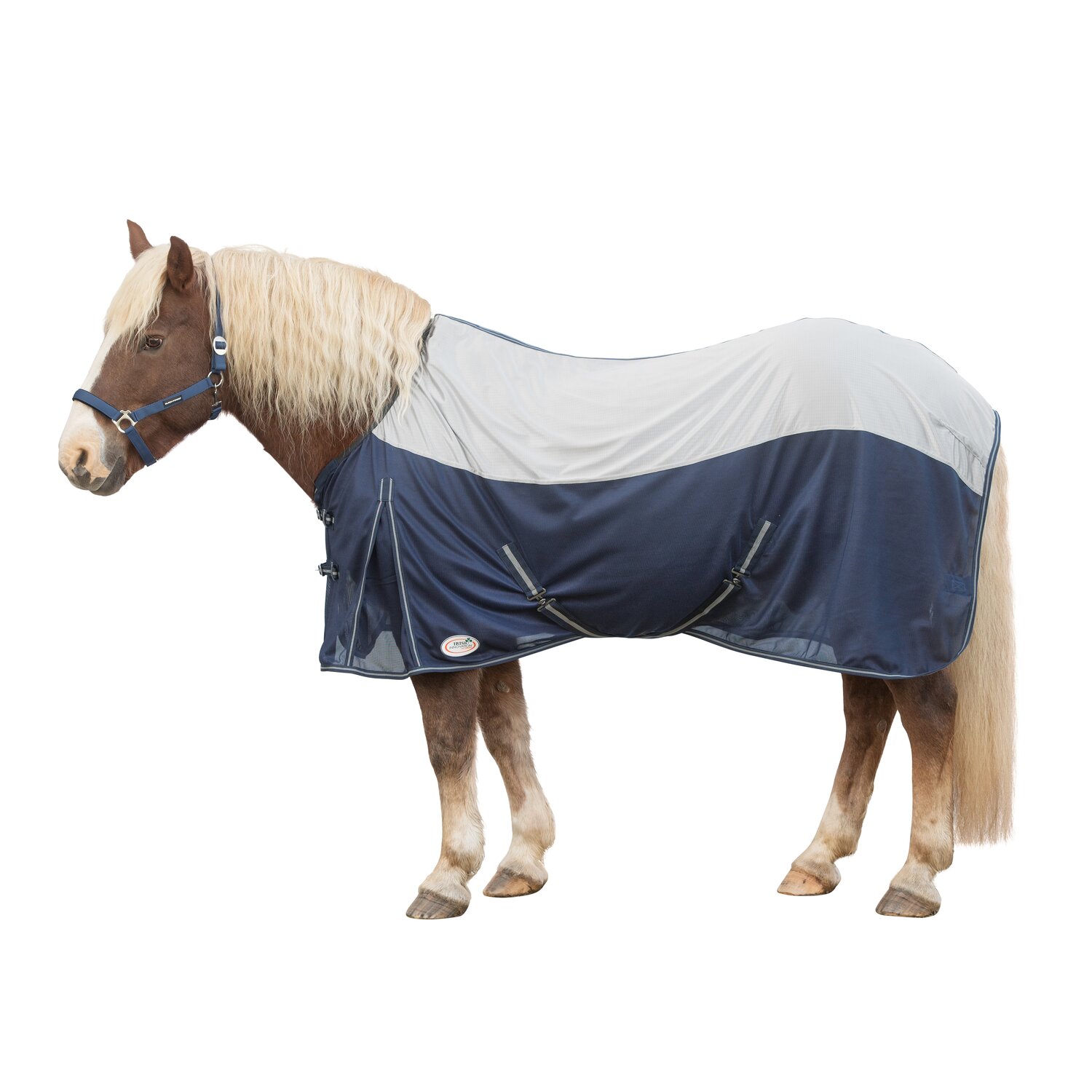 IRISh INNOVATION Fliegendecke Cooler XL – Ansicht 1