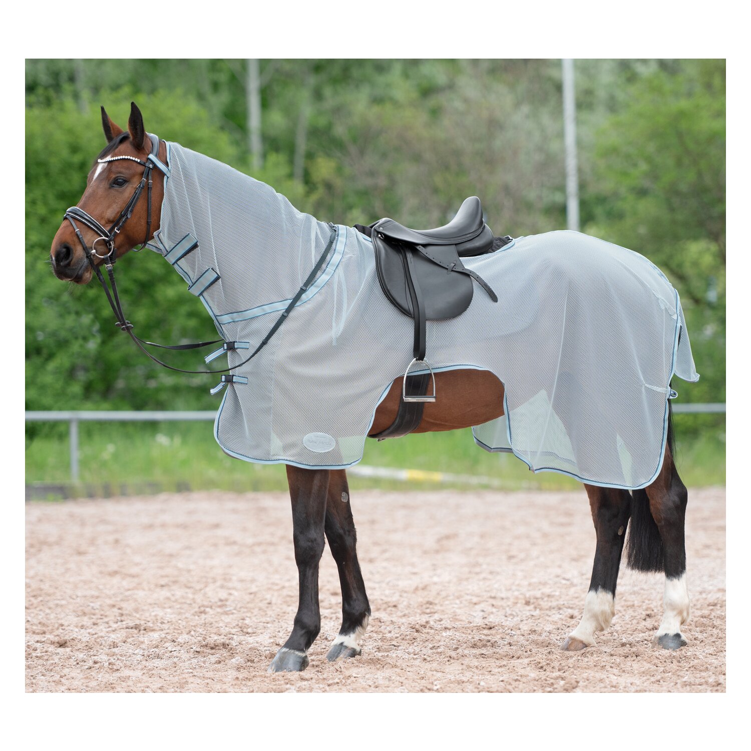 Horse-friends Fliegen-Ausreitdecke XL – Ansicht 3