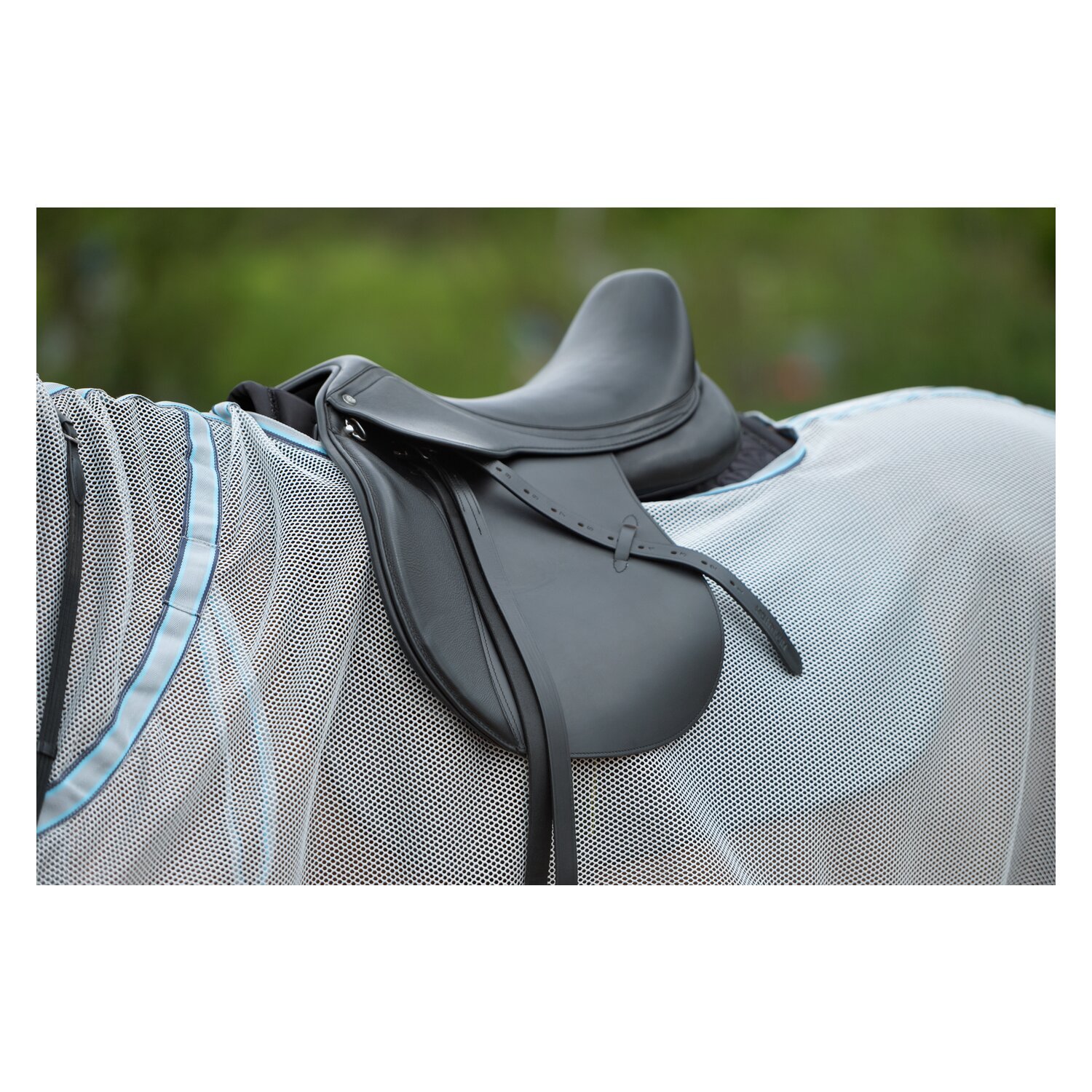 Horse-friends Fliegen-Ausreitdecke XL – Ansicht 4