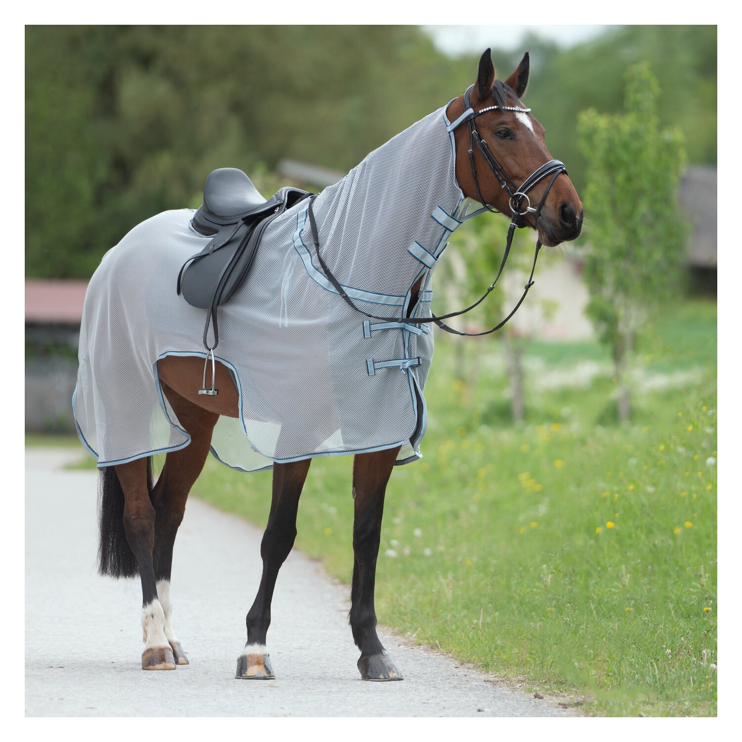 Horse-friends Fliegen-Ausreitdecke XL – Ansicht 2