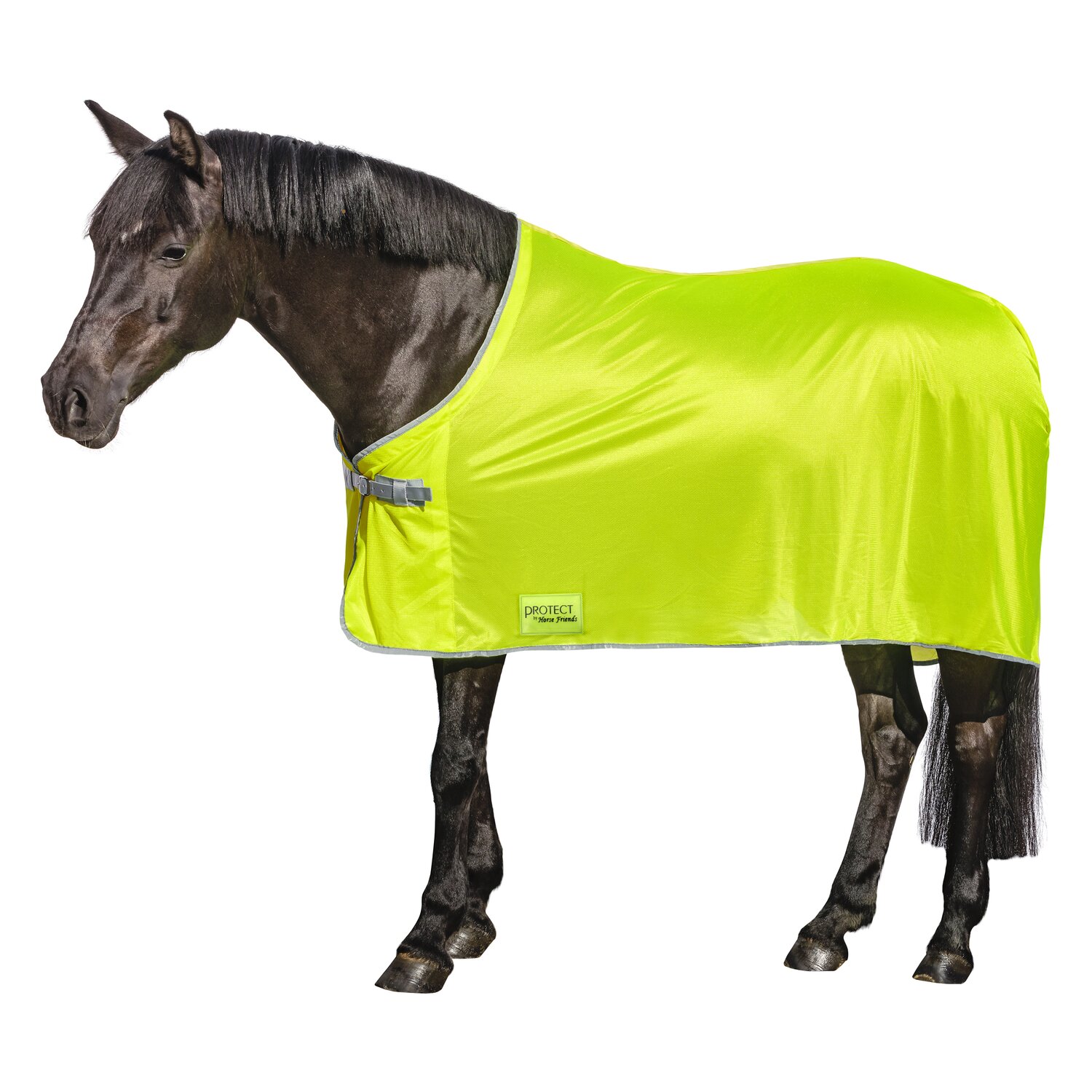 PROTECT by Horse-Friends Fliegendecke – Ansicht 1