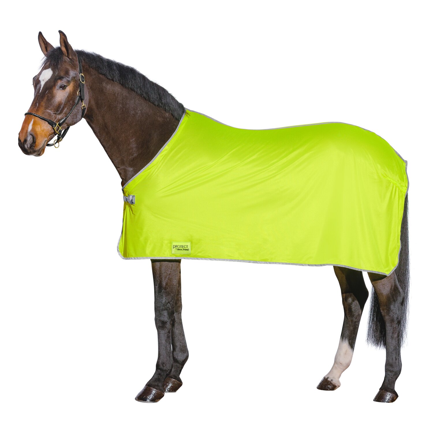 PROTECT by Horse-Friends Fliegendecke – Ansicht 2