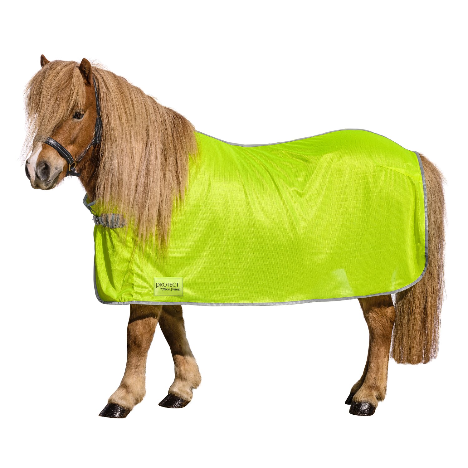 PROTECT by Horse-Friends Fliegendecke – Ansicht 3