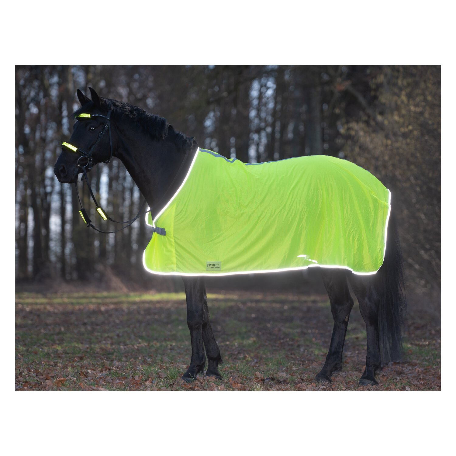 PROTECT by Horse-Friends Fliegendecke – Ansicht 4