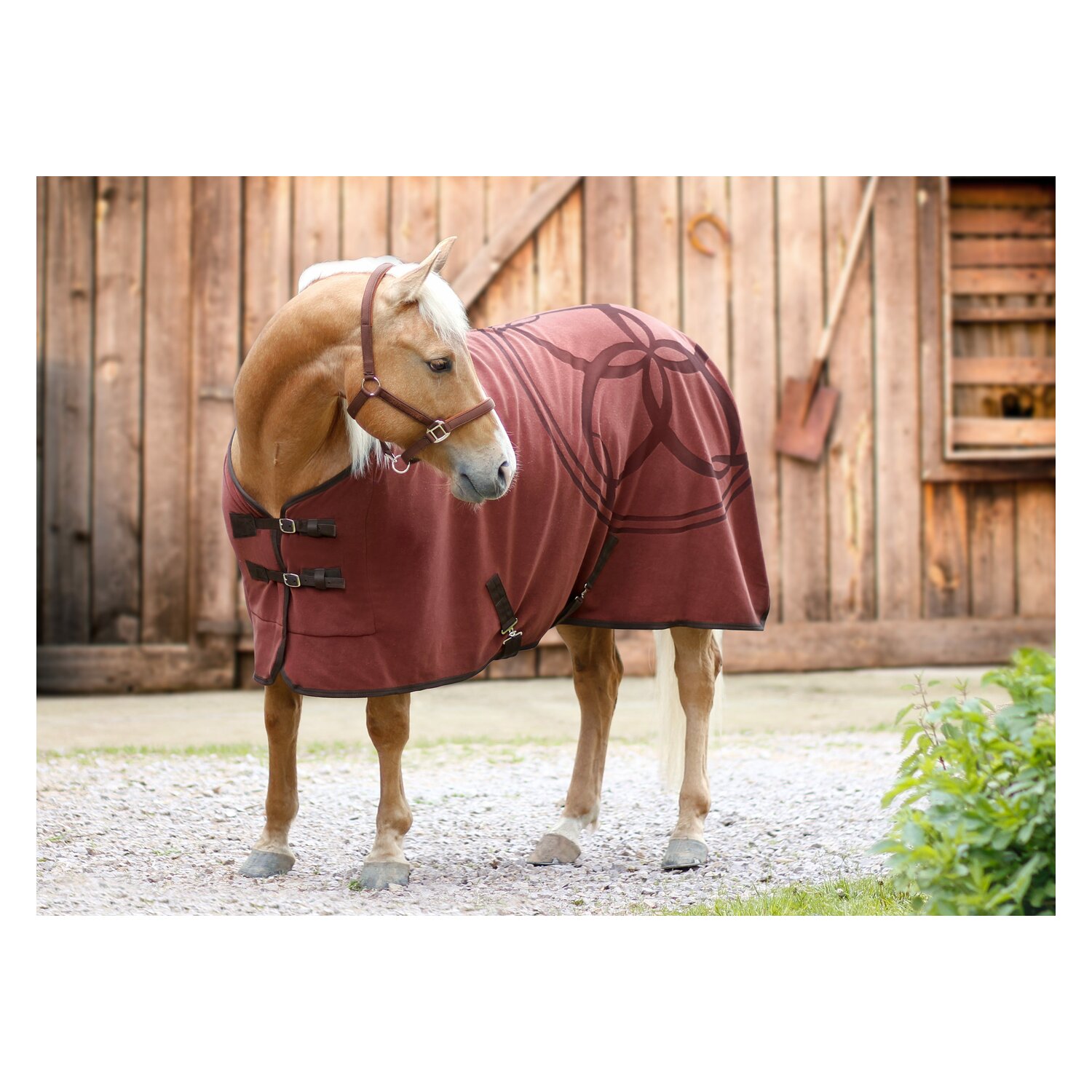 Passion 4Q Fleece-Abschwitzdecke – Ansicht 3