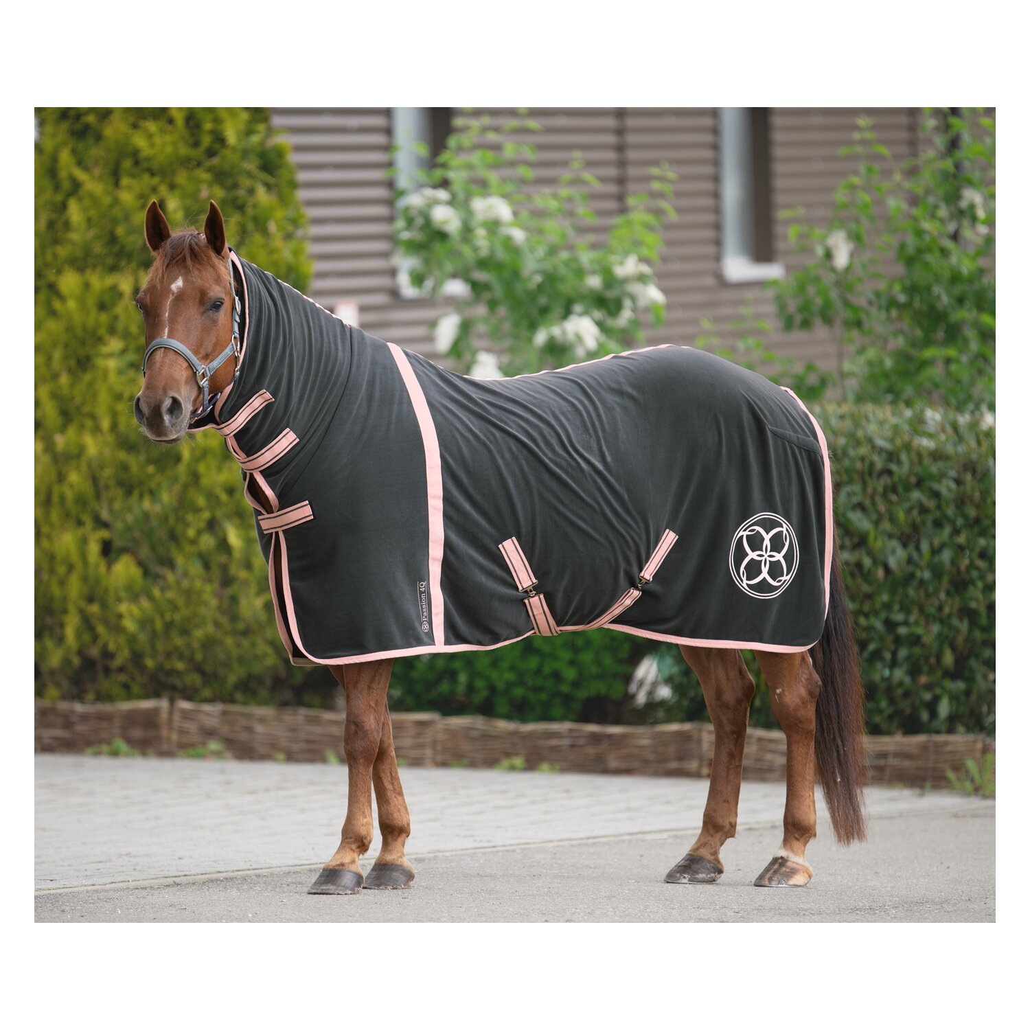 Passion 4Q Abschwitzdecke mit Halsteil – Ansicht 2