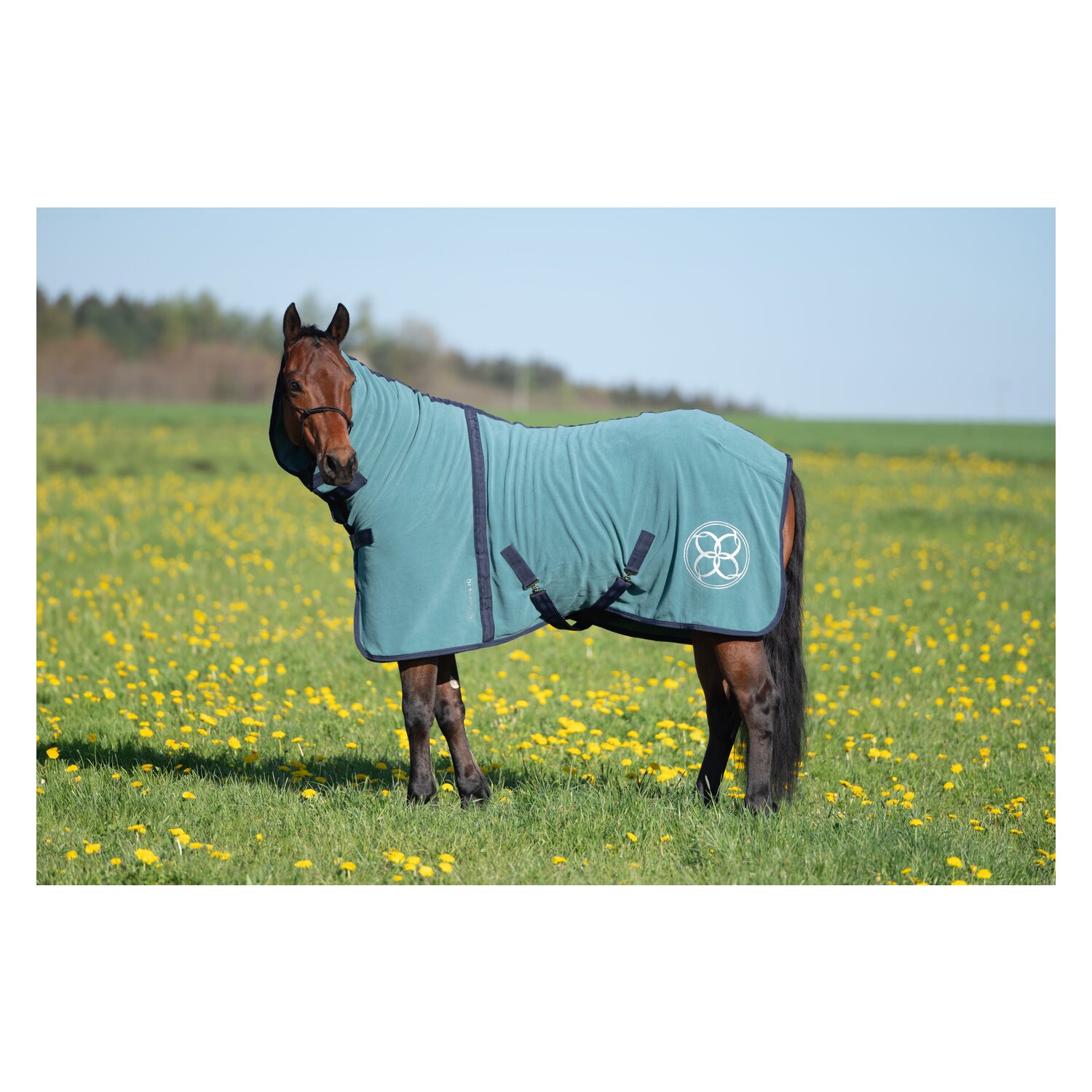 Passion 4Q Abschwitzdecke mit Halsteil – Ansicht 4