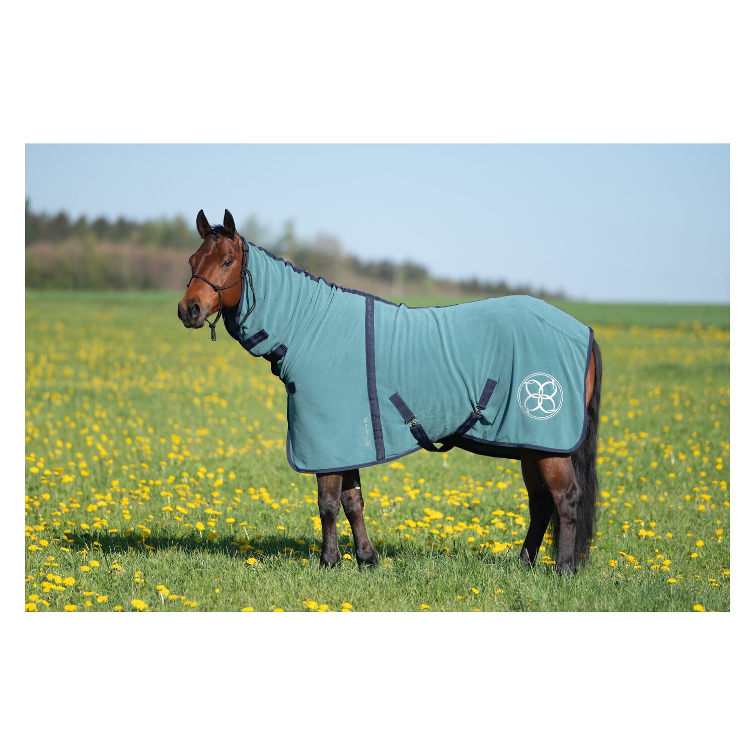 Passion 4Q Abschwitzdecke mit Halsteil – Ansicht 5