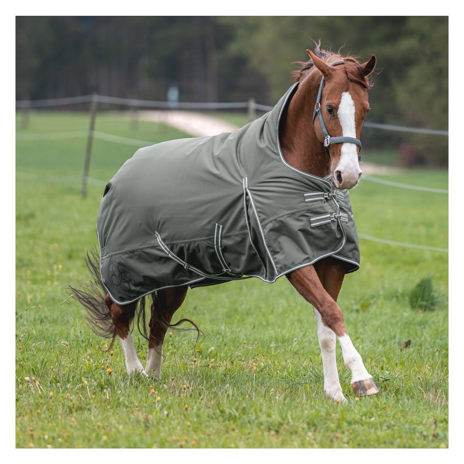 Passion 4Q 3-Zonen Outdoordecke – Ansicht 5