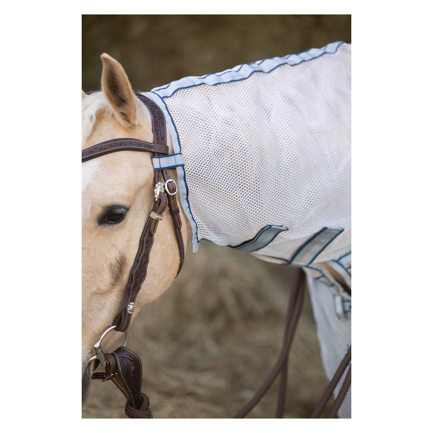 Passion 4Q Western-Fliegenausreitdecke &ndash; Ansicht 3