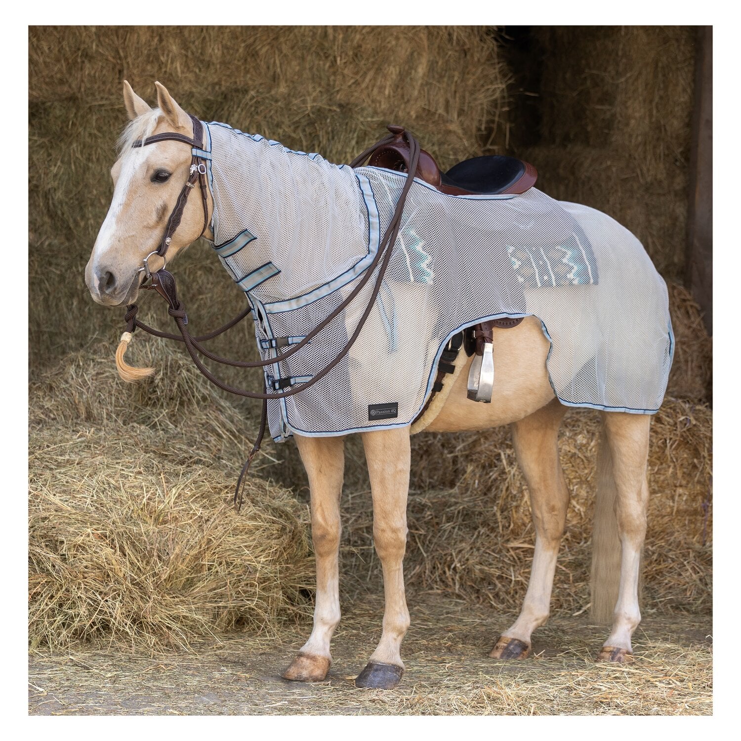 Passion 4Q Western-Fliegenausreitdecke &ndash; Ansicht 1