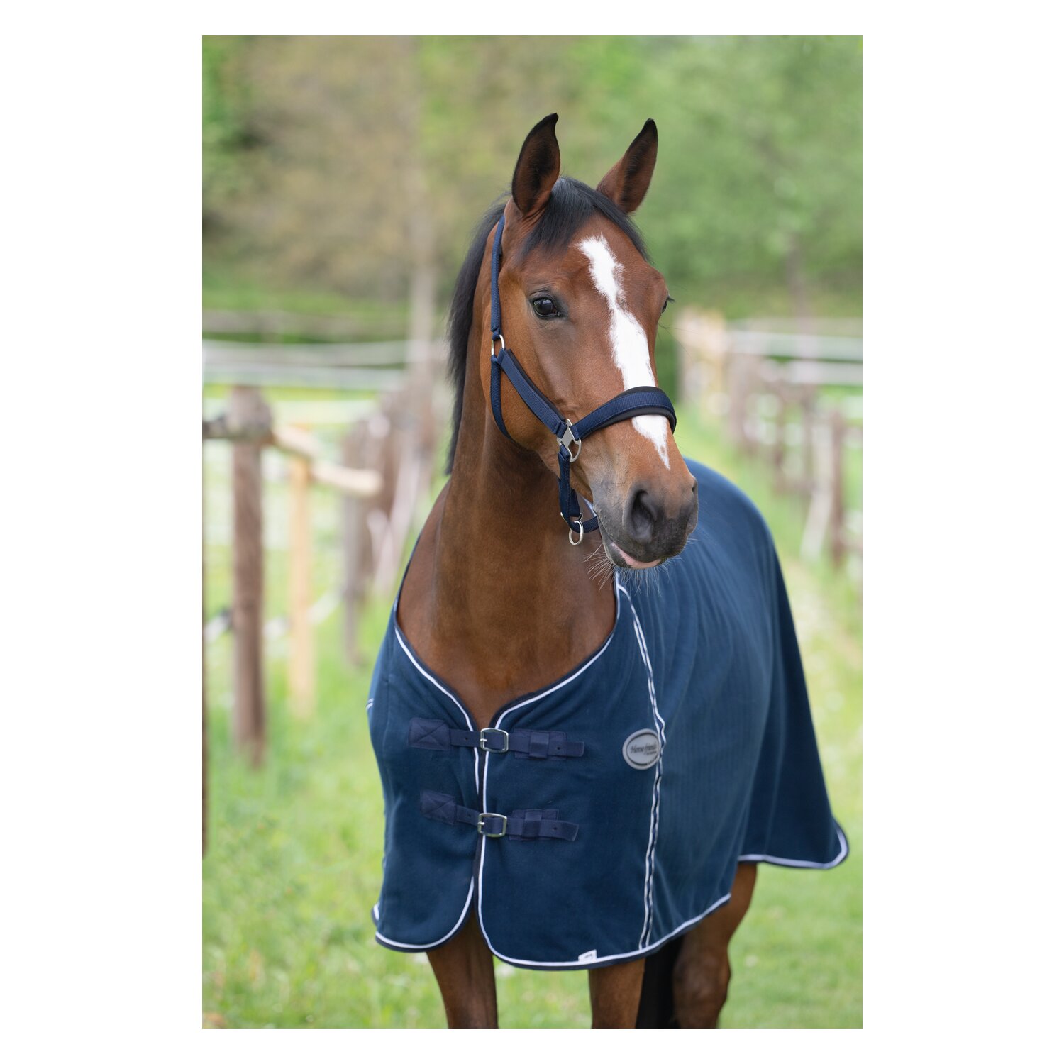 Horse-friends Abschwitzdecke – Ansicht 5