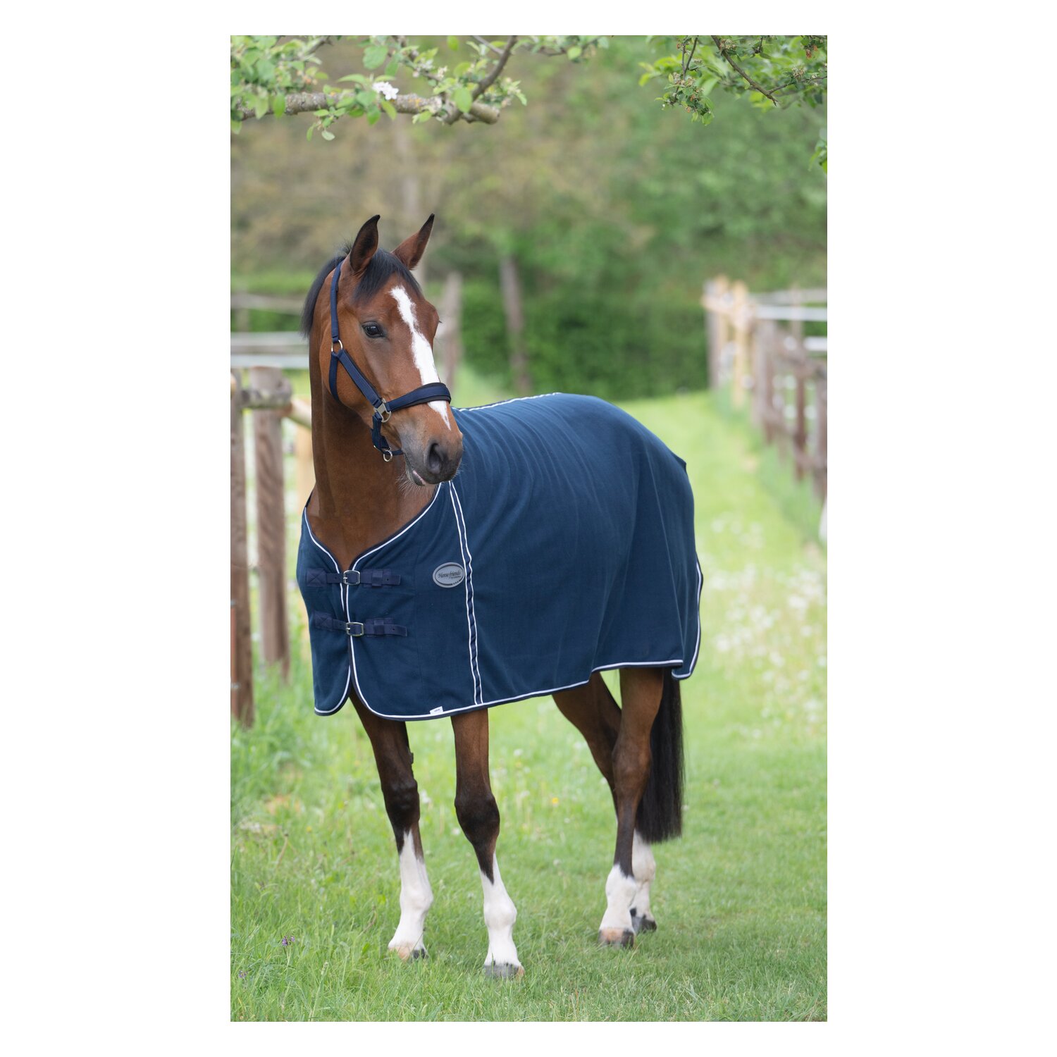 Horse-friends Abschwitzdecke – Ansicht 4