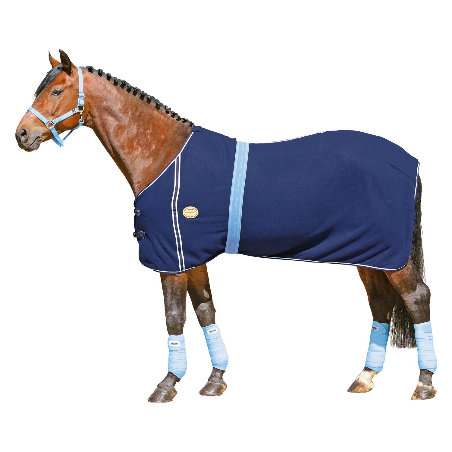 Horse-friends Abschwitzdecke – Ansicht 1