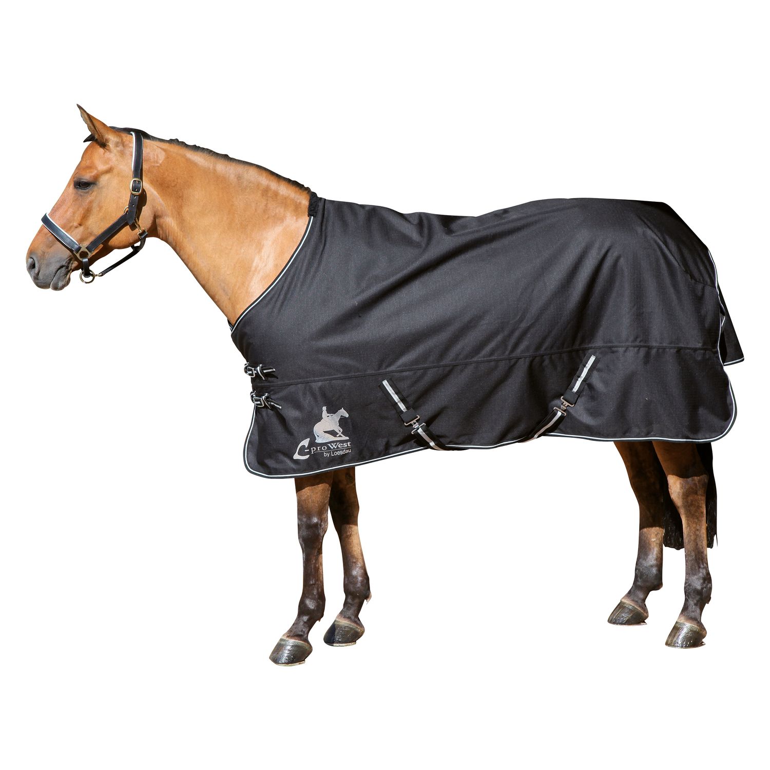 L-pro West Paddock- und Outdoordecke – Ansicht 1