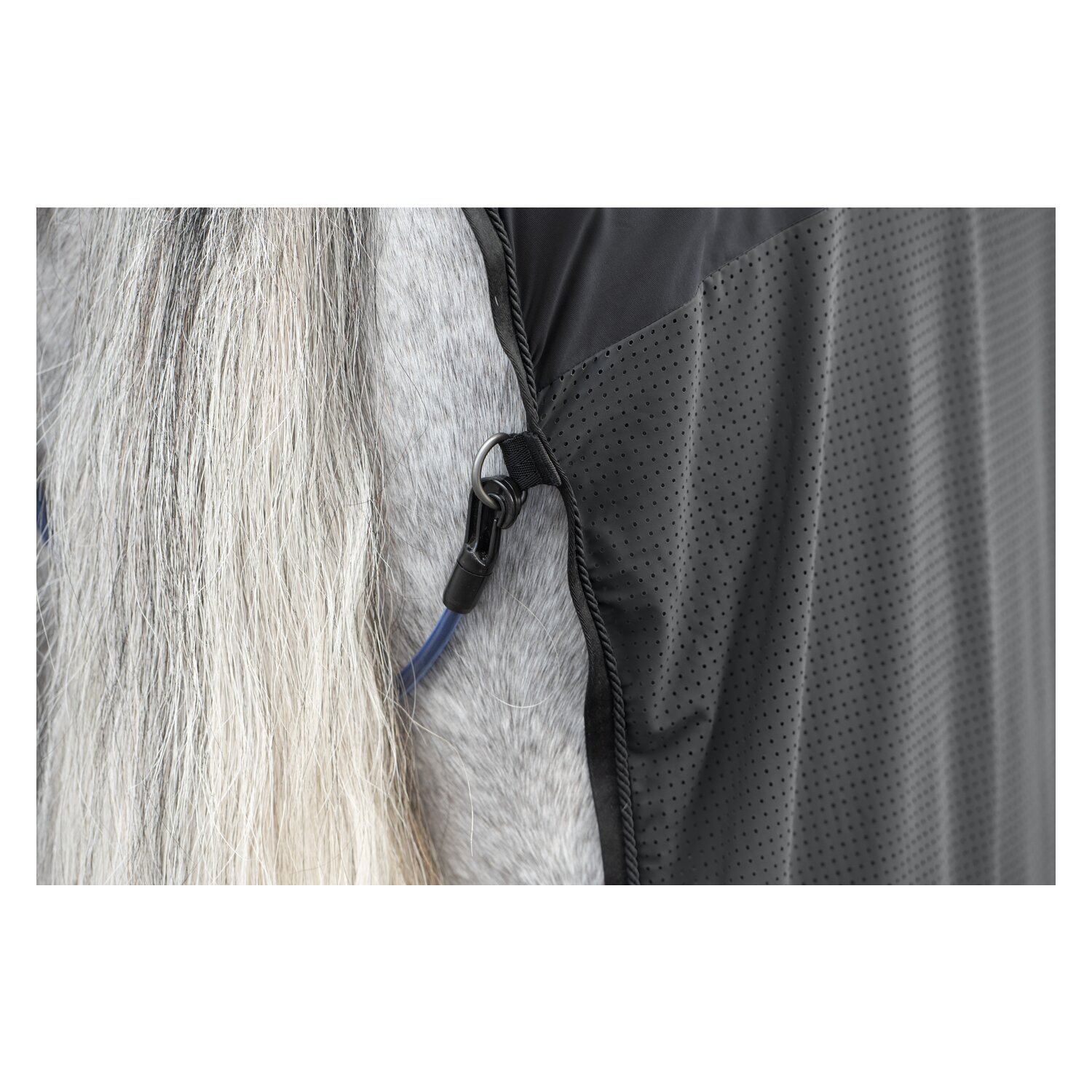 Cheval de Luxe Transportdecke – Ansicht 3