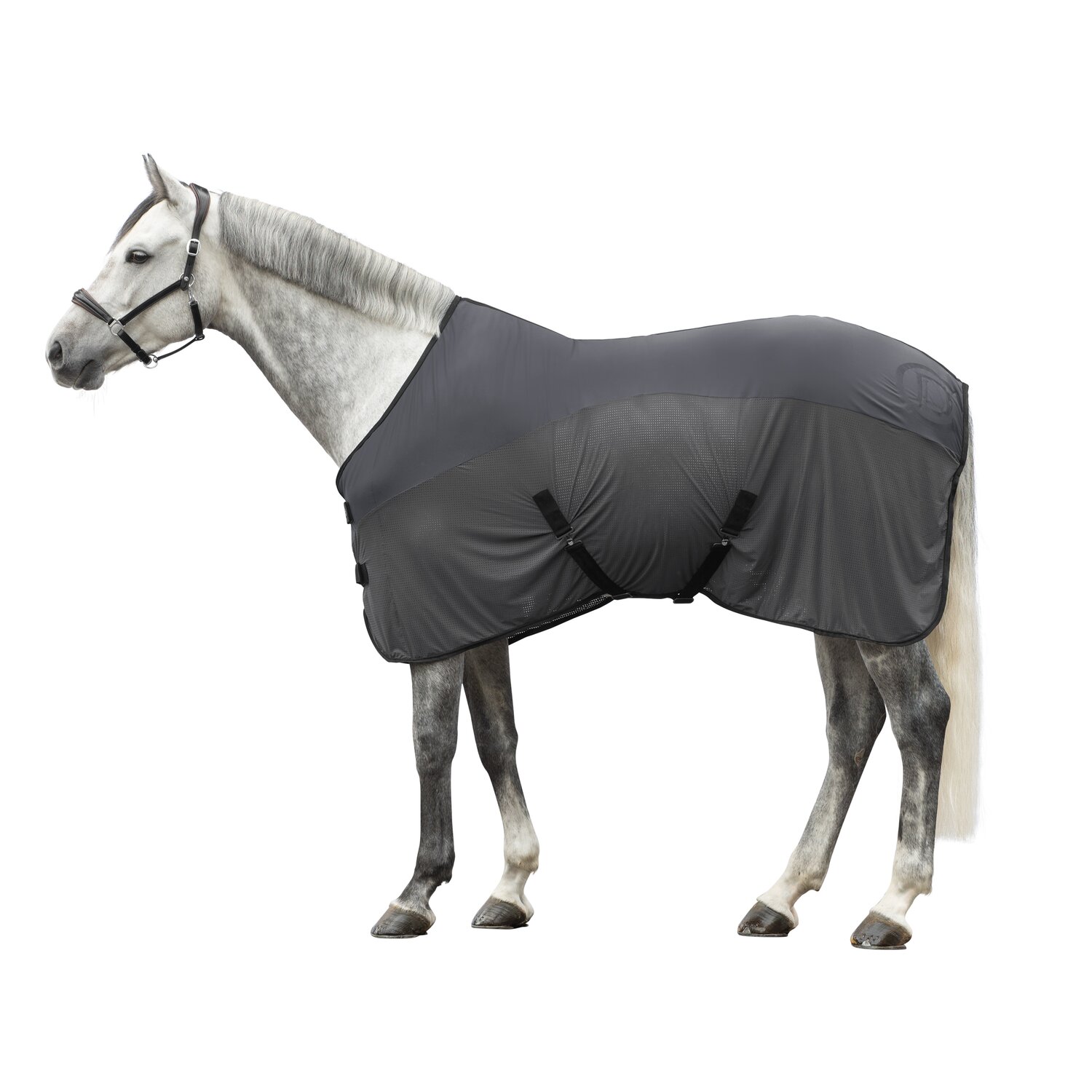 Cheval de Luxe Transportdecke – Ansicht 1