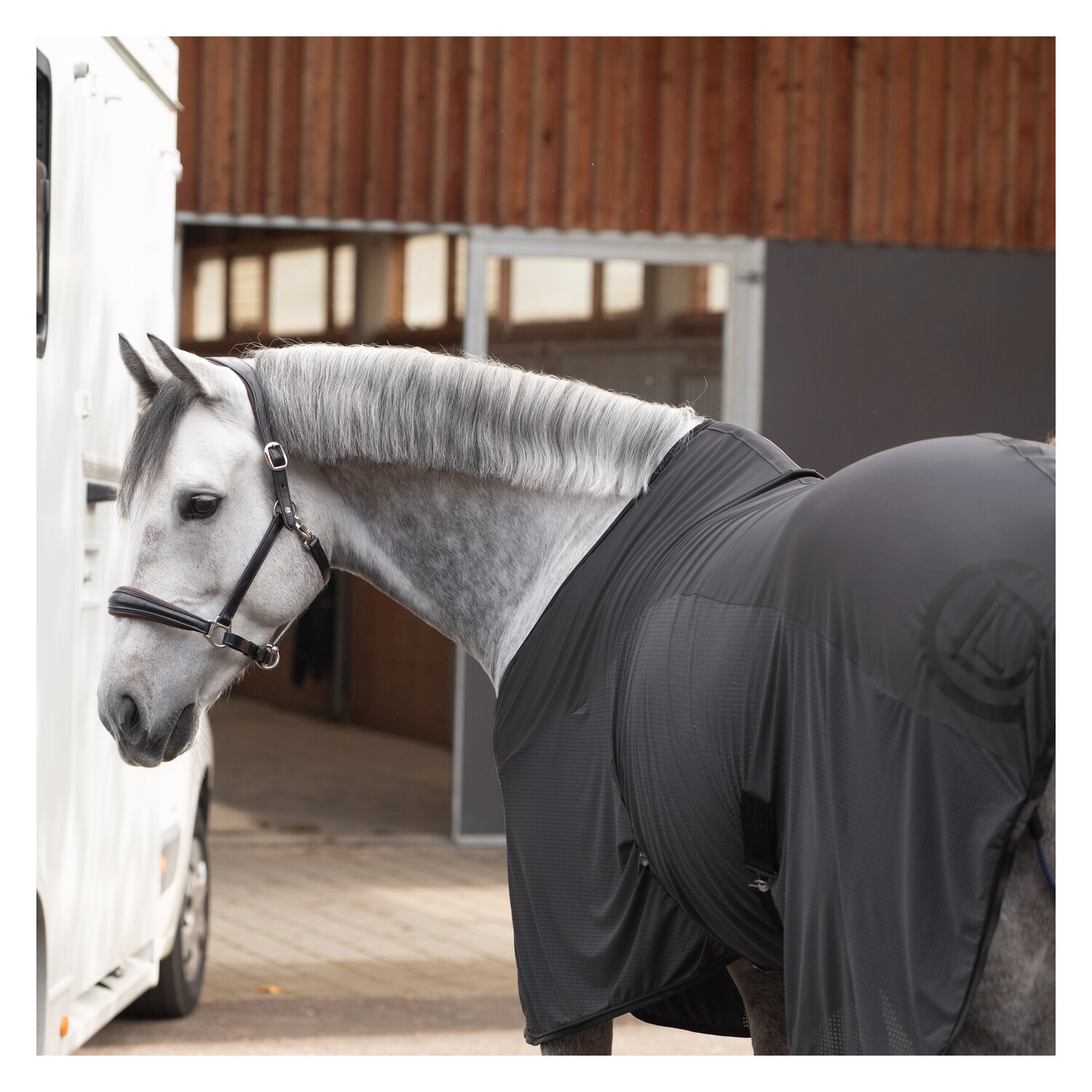 Cheval de Luxe Transportdecke – Ansicht 2