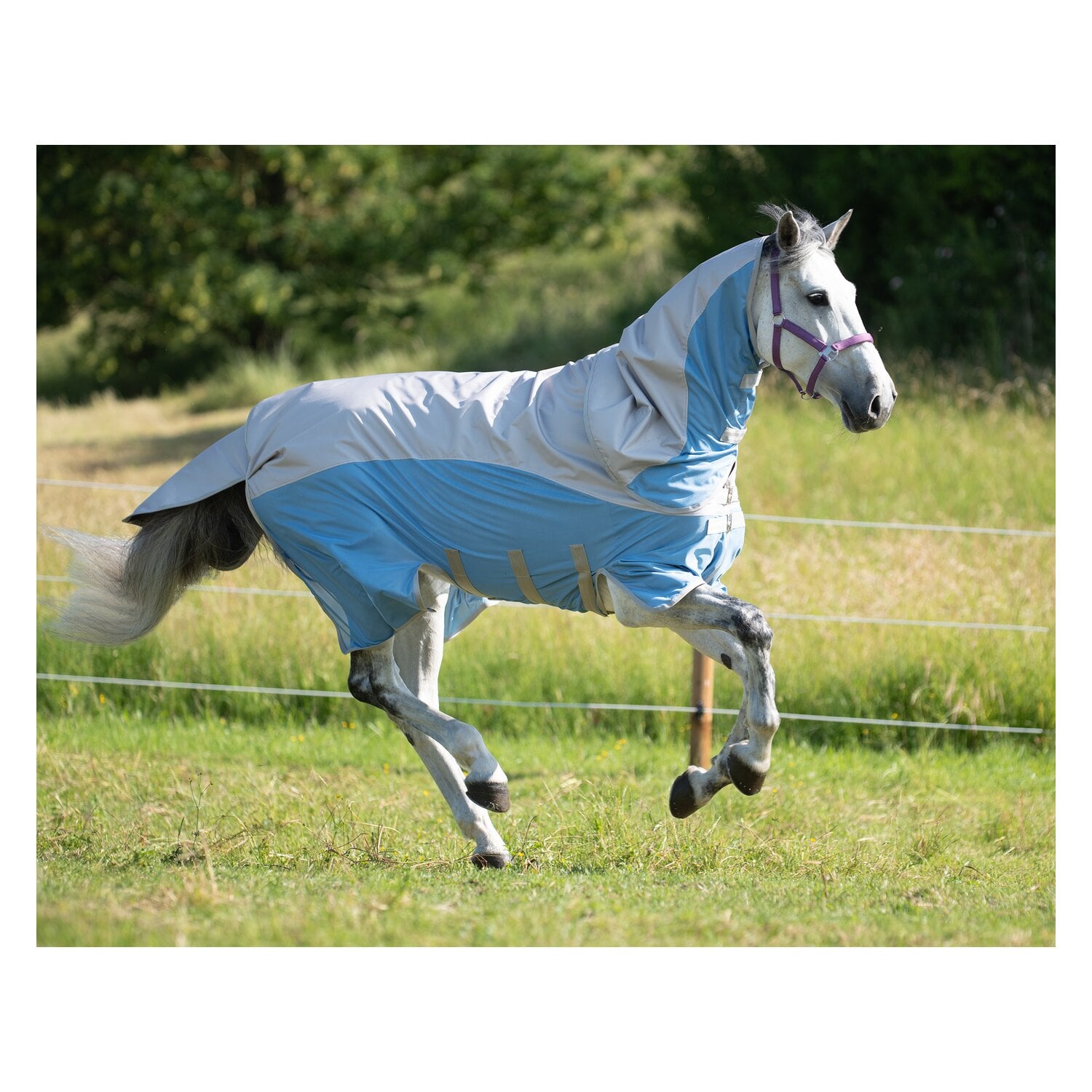 IRISh INNOVATION Regen-Fliegendecke Portsmouth &ndash; Ansicht 3