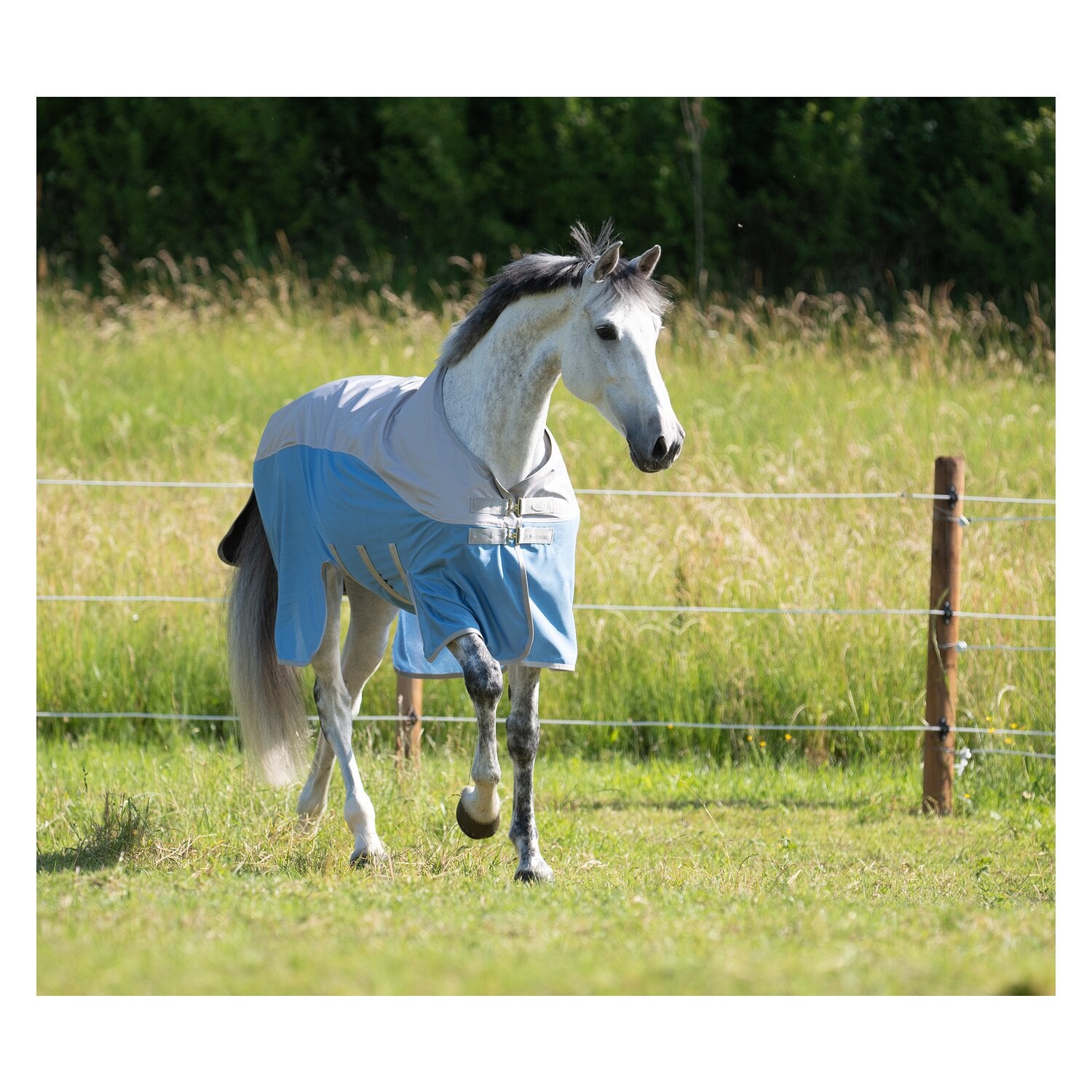 IRISh INNOVATION Regen-Fliegendecke Portsmouth &ndash; Ansicht 4