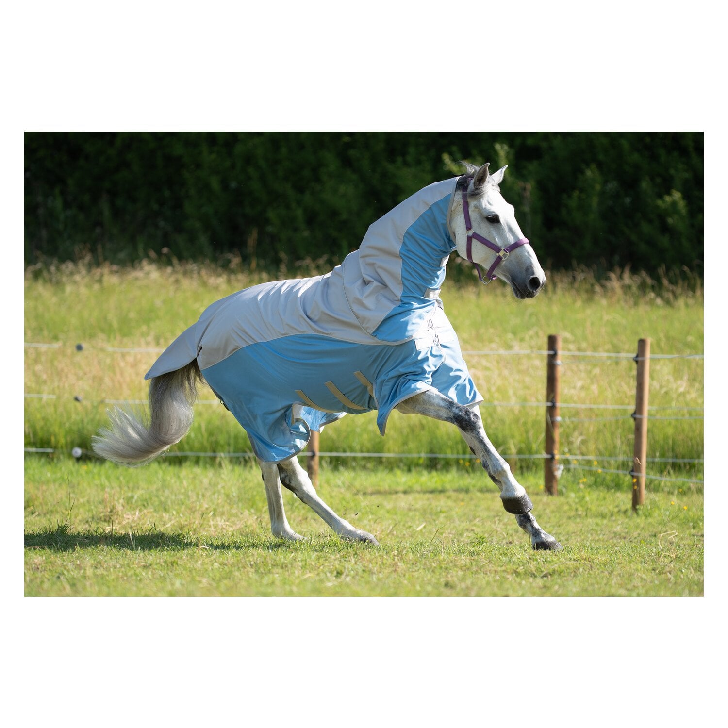 IRISh INNOVATION Regen-Fliegendecke Portsmouth &ndash; Ansicht 5