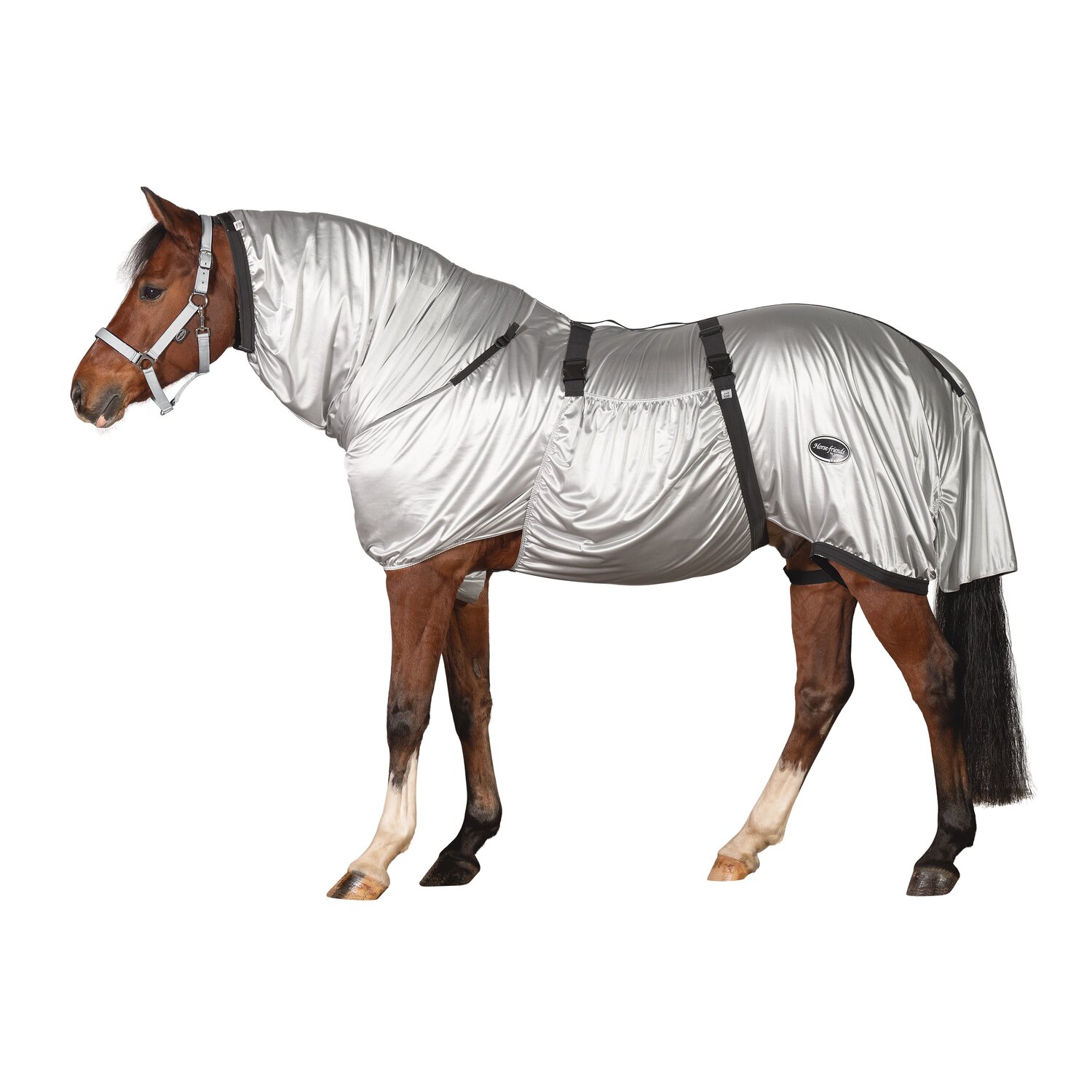 Horse-friends Ekzemerdecke Larisa &ndash; Ansicht 1