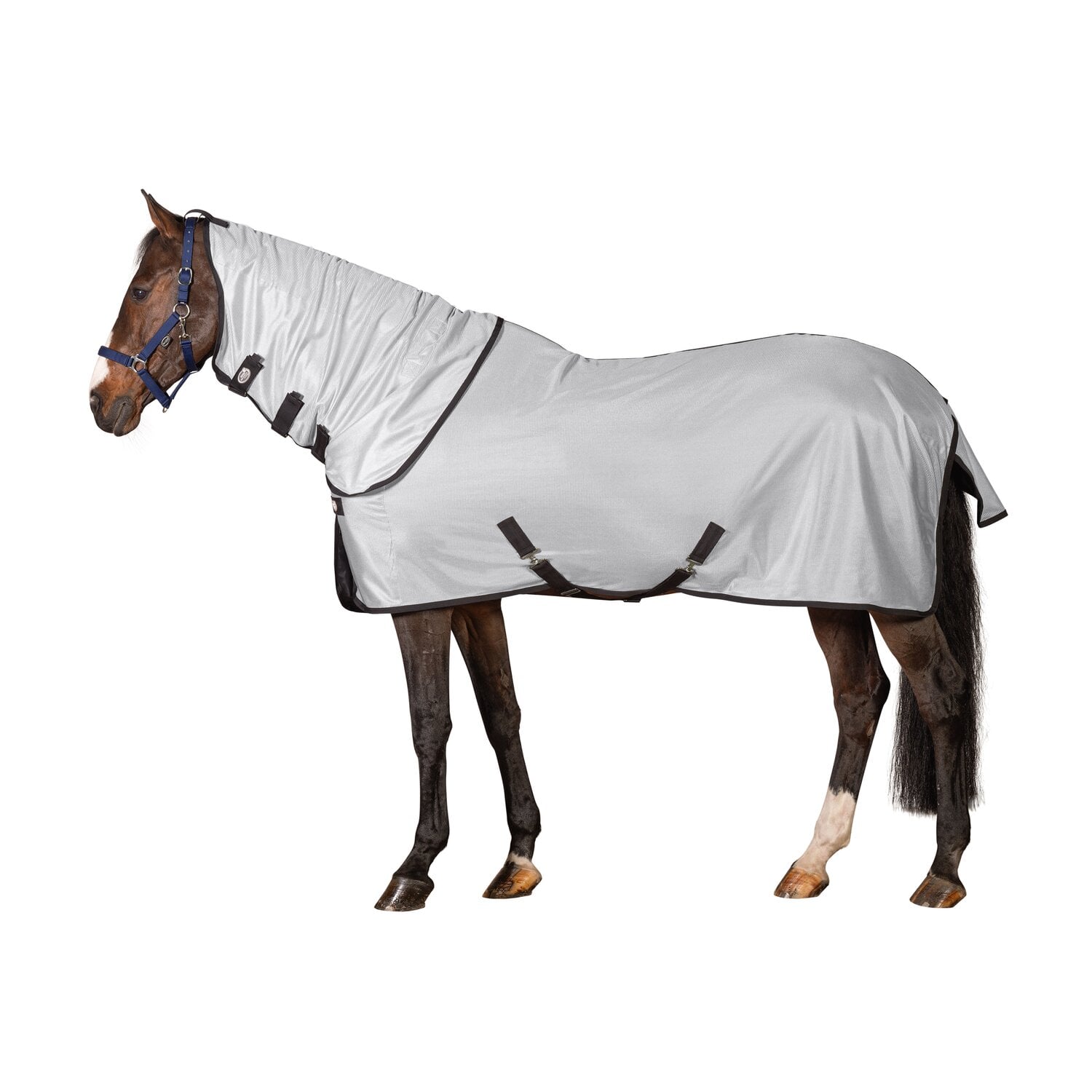 ISRISh INNOVATION Wasserabweisende Fliegendecke Lisburn, IRISh INNOVATION &ndash; Ansicht 2