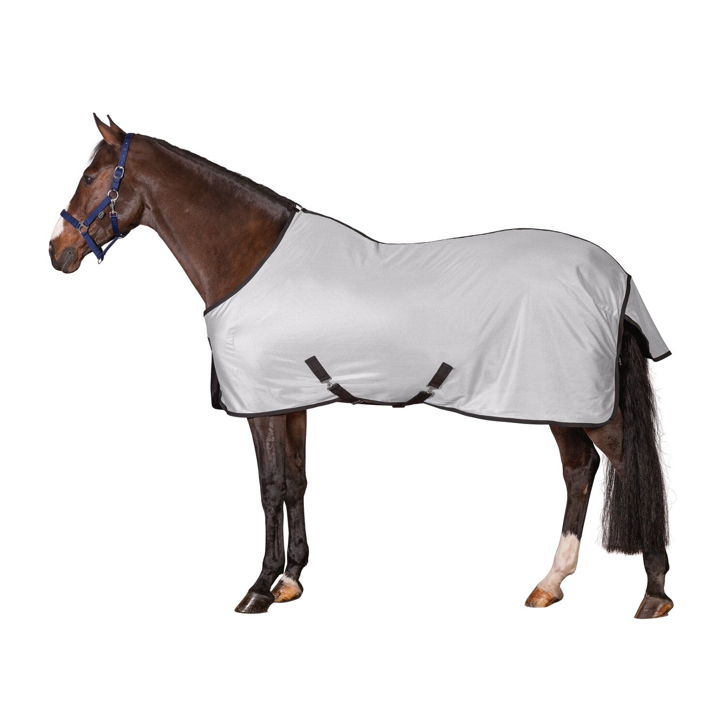 ISRISh INNOVATION Wasserabweisende Fliegendecke Lisburn, IRISh INNOVATION &ndash; Ansicht 1