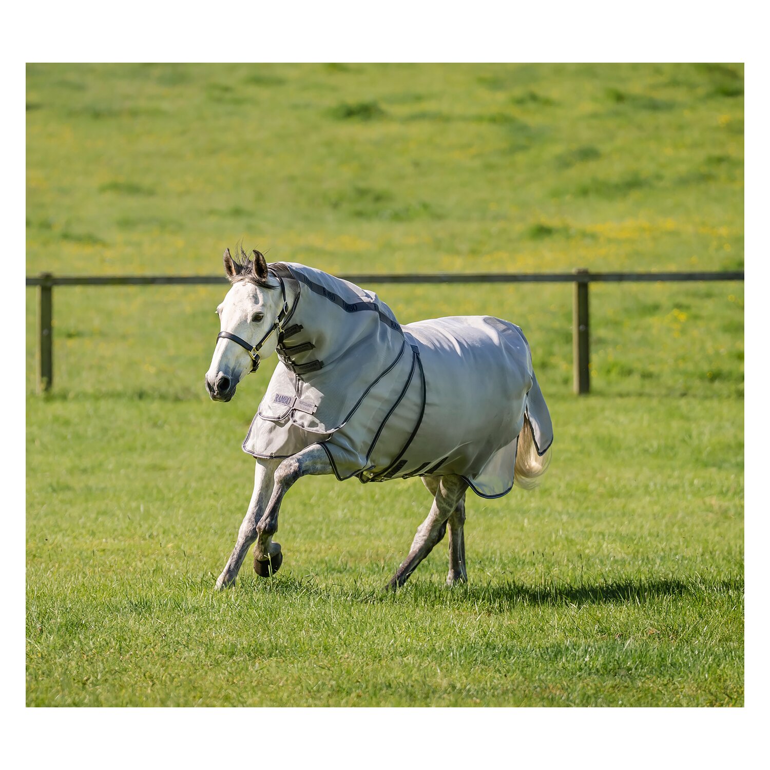 HORSEWARE Fliegendecke RAMBO Optimo Protector Plus &ndash; Ansicht 2