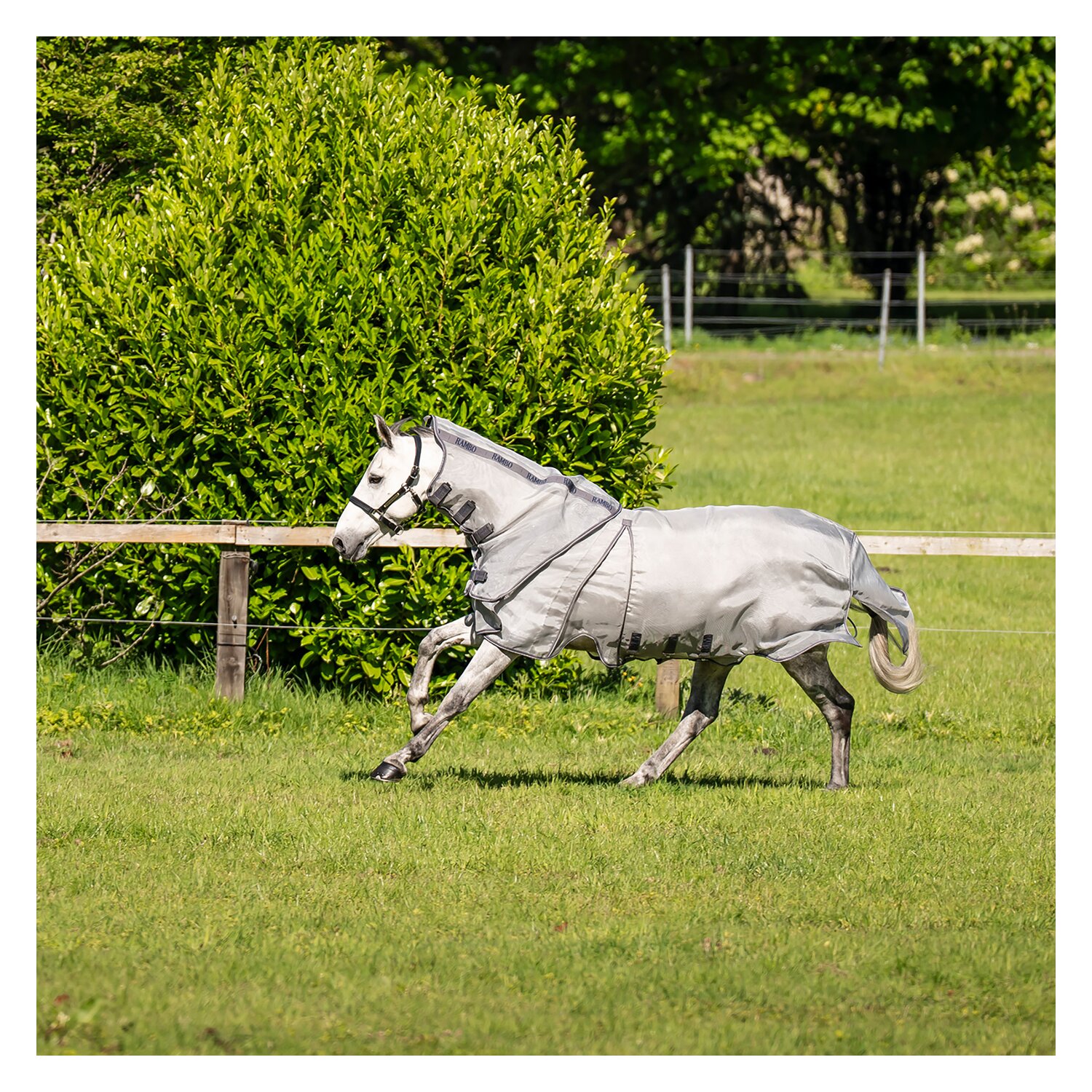 HORSEWARE Fliegendecke RAMBO Optimo Protector Plus &ndash; Ansicht 4