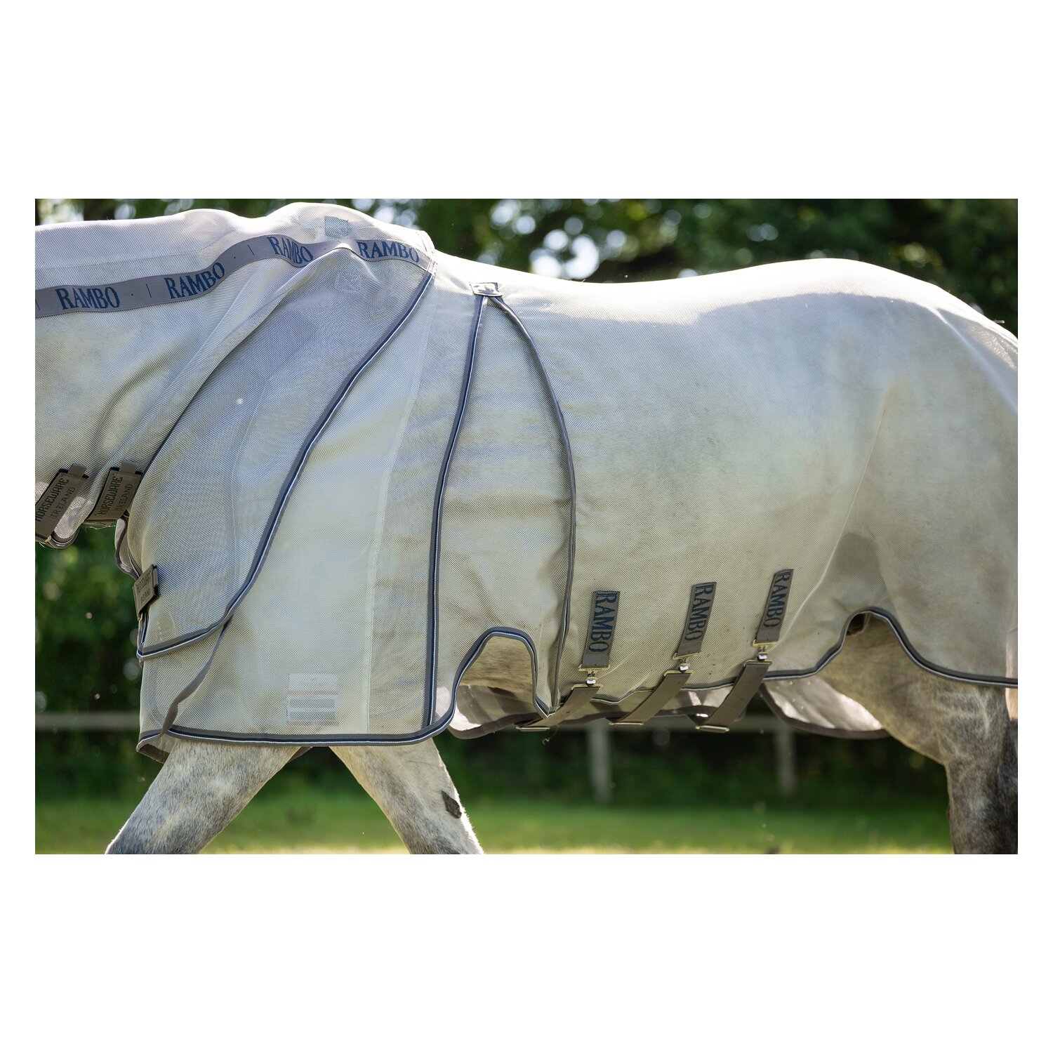 HORSEWARE Fliegendecke RAMBO Optimo Protector Plus &ndash; Ansicht 7