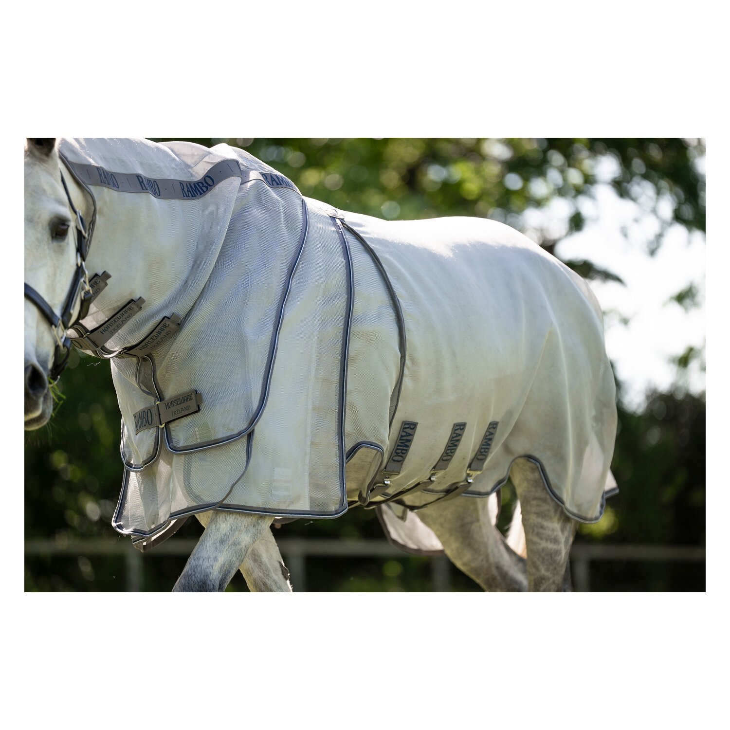 HORSEWARE Fliegendecke RAMBO Optimo Protector Plus &ndash; Ansicht 5