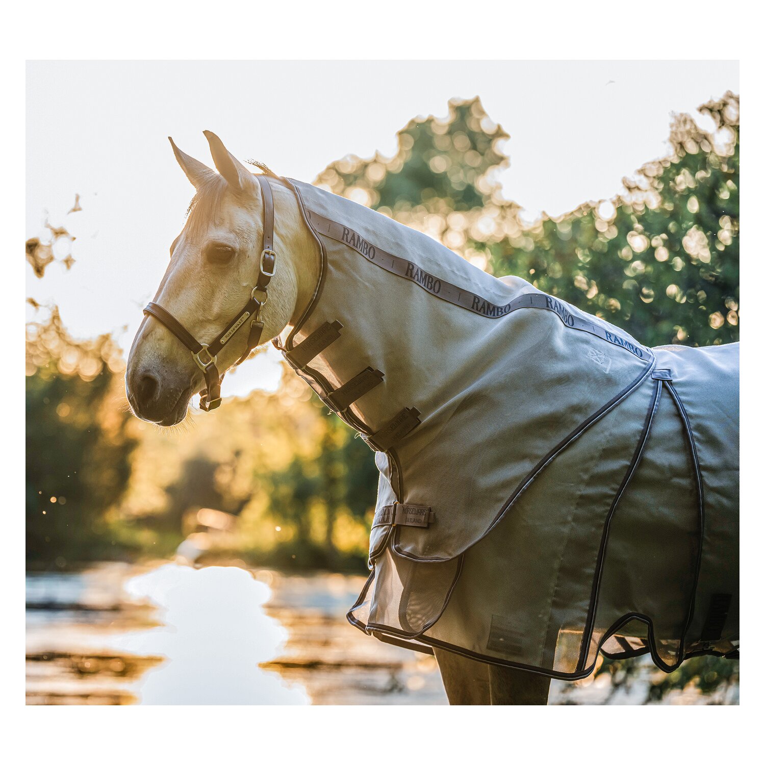 HORSEWARE Fliegendecke RAMBO Optimo Protector Plus &ndash; Ansicht 6