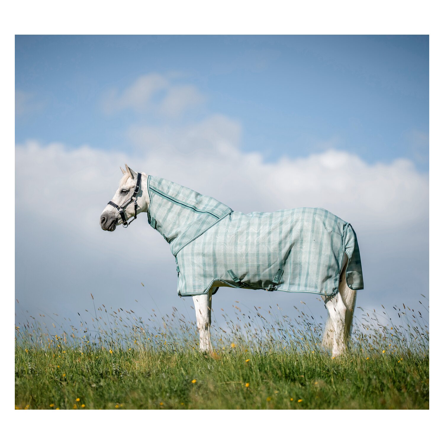 HORSEWARE Fliegendecke Newmarket Plus &ndash; Ansicht 2