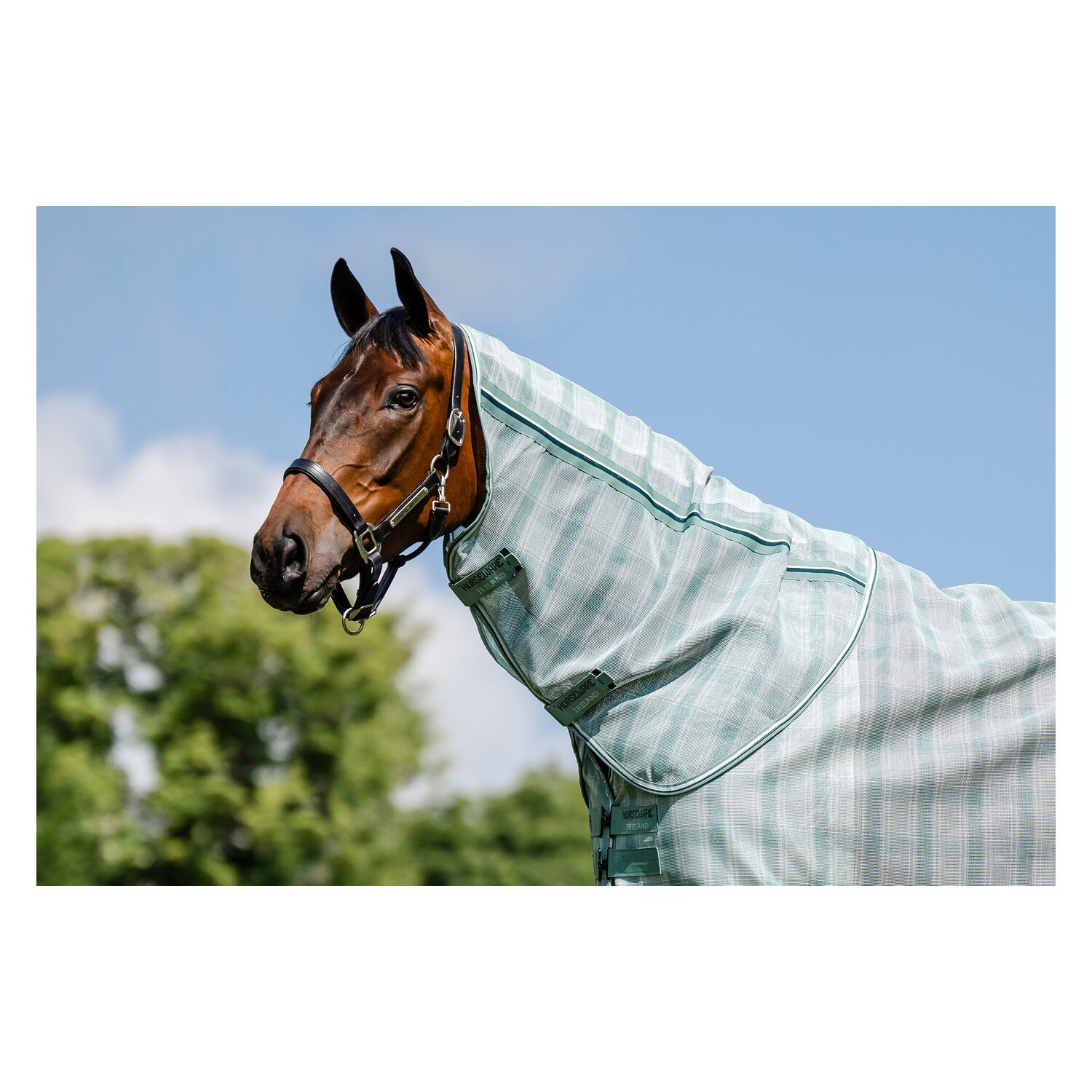 HORSEWARE Fliegendecke Newmarket Plus &ndash; Ansicht 3