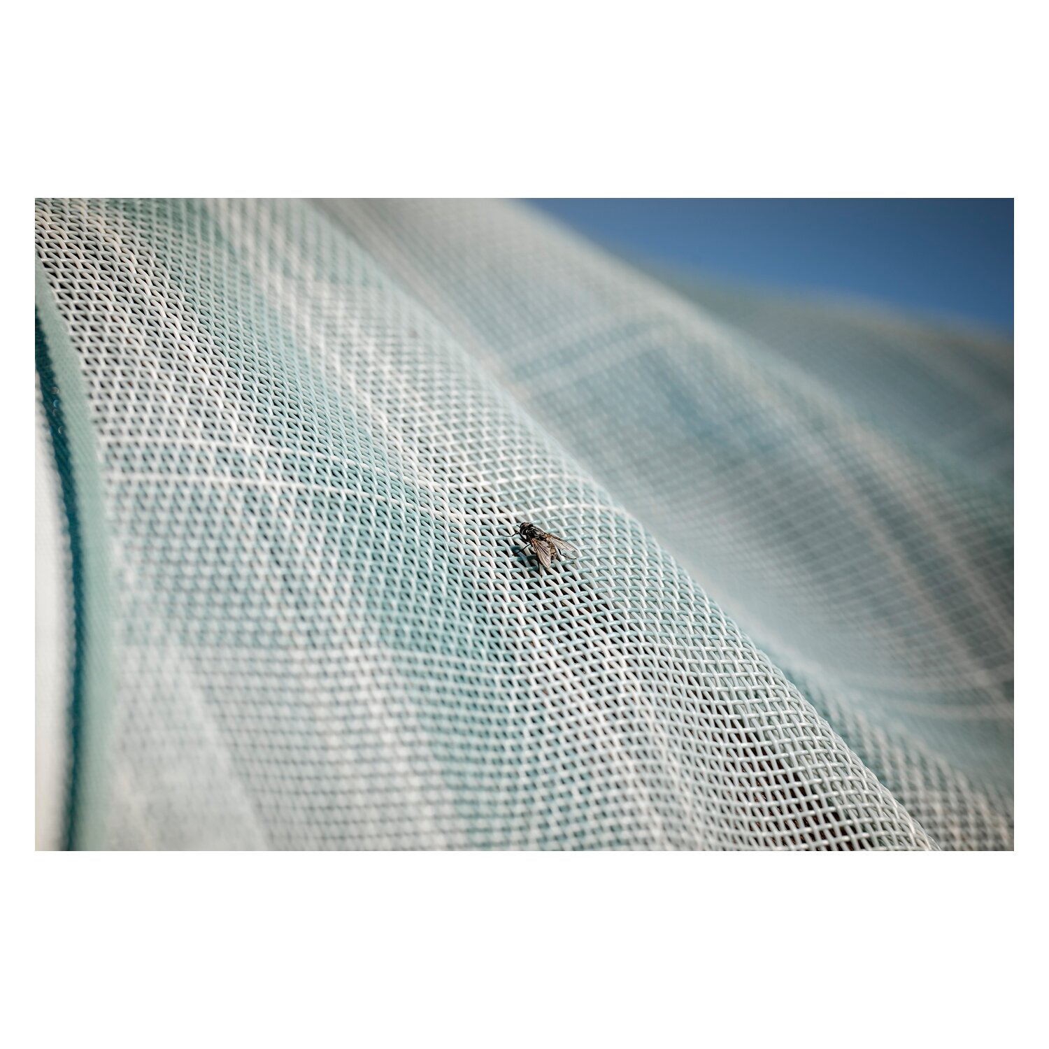 HORSEWARE Fliegendecke Newmarket Plus &ndash; Ansicht 6