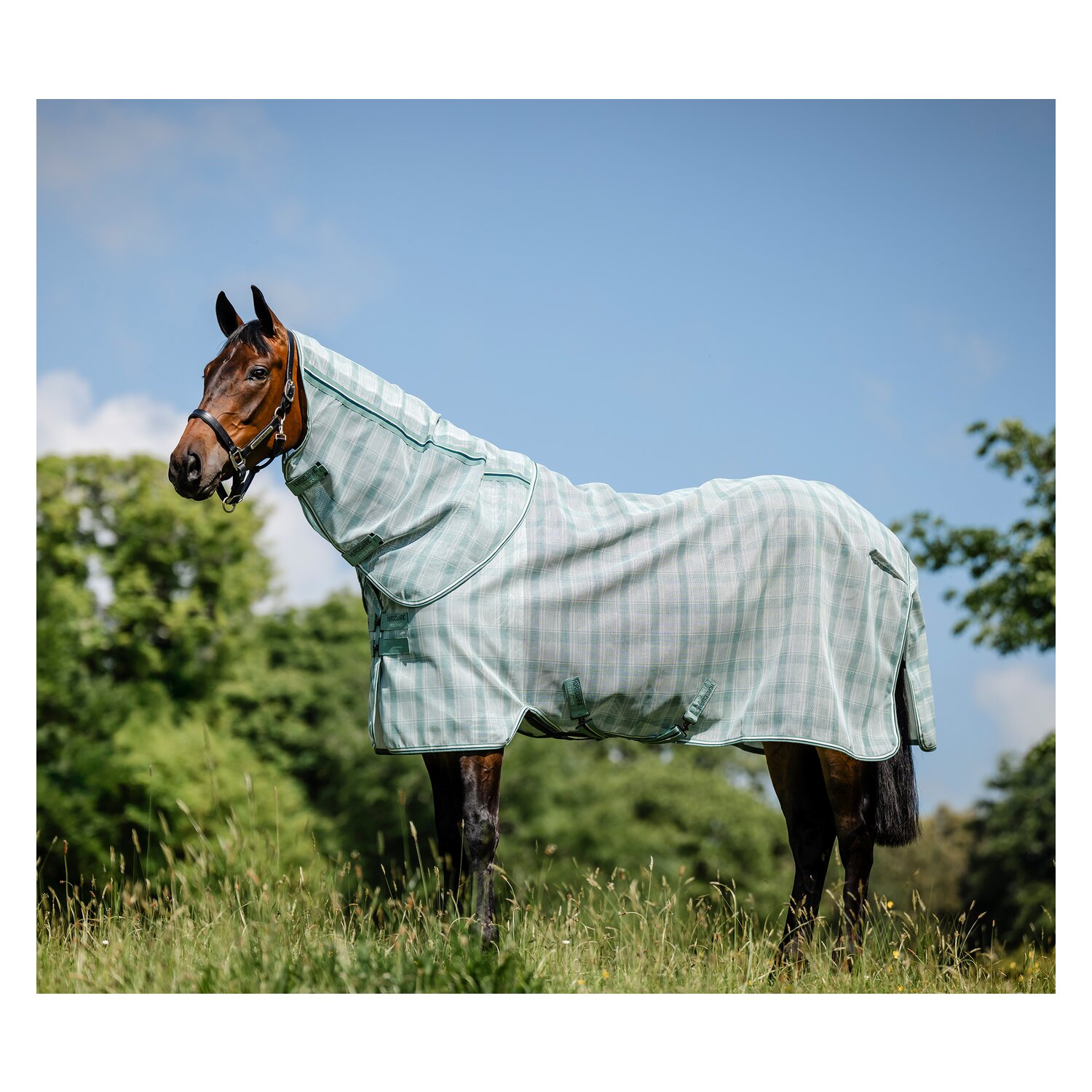 HORSEWARE Fliegendecke Newmarket Plus &ndash; Ansicht 1