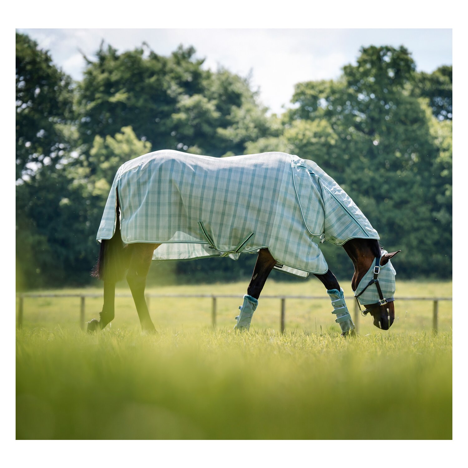 HORSEWARE Fliegendecke Newmarket Quarter Plus &ndash; Ansicht 2