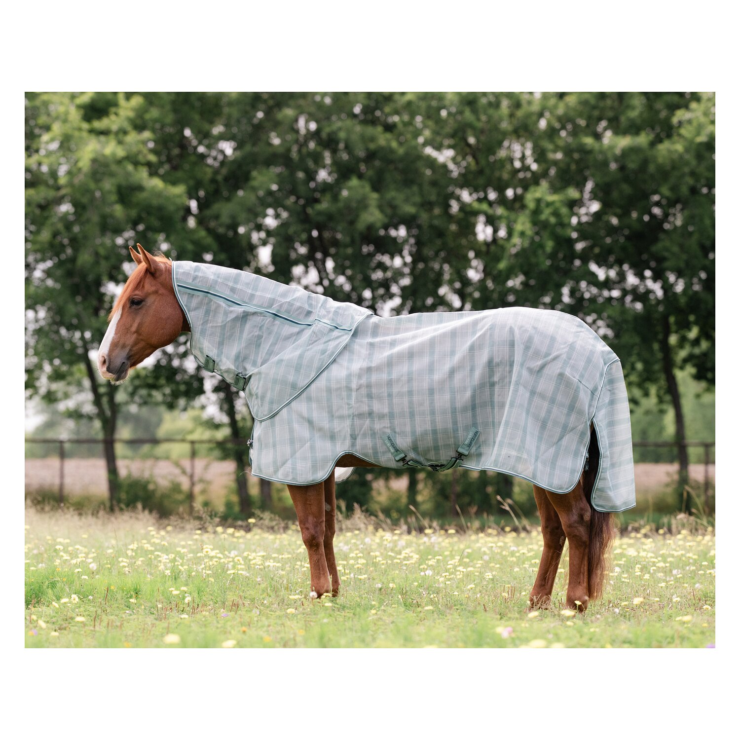 HORSEWARE Fliegendecke Newmarket Quarter Plus &ndash; Ansicht 3