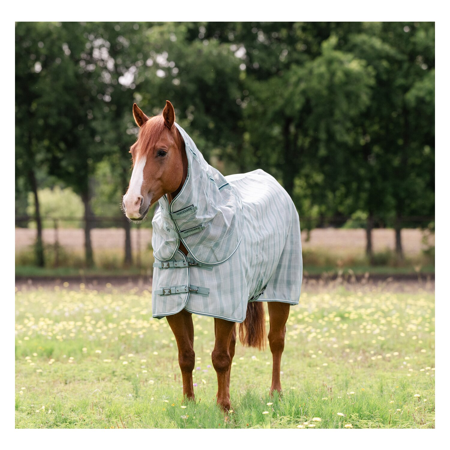 HORSEWARE Fliegendecke Newmarket Quarter Plus &ndash; Ansicht 4