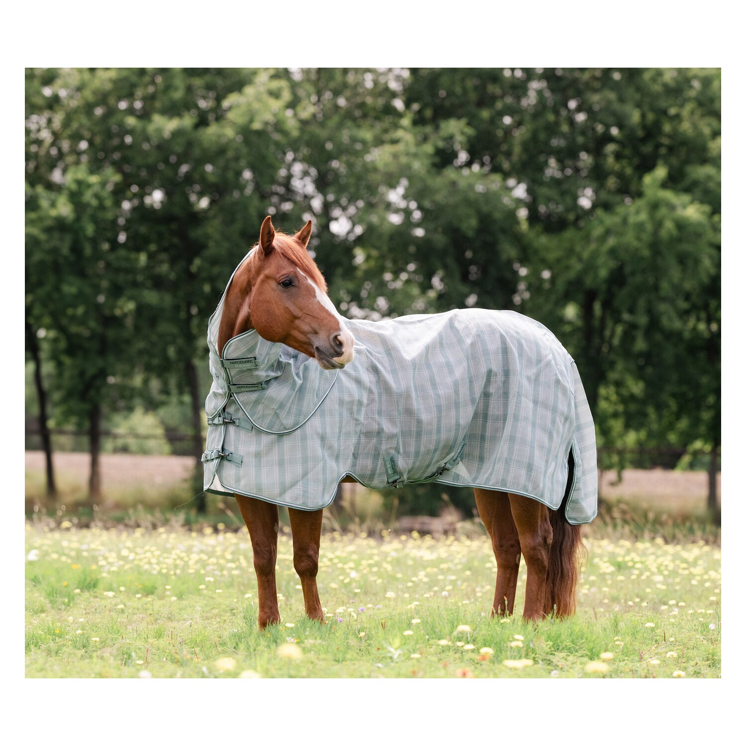 HORSEWARE Fliegendecke Newmarket Quarter Plus &ndash; Ansicht 1