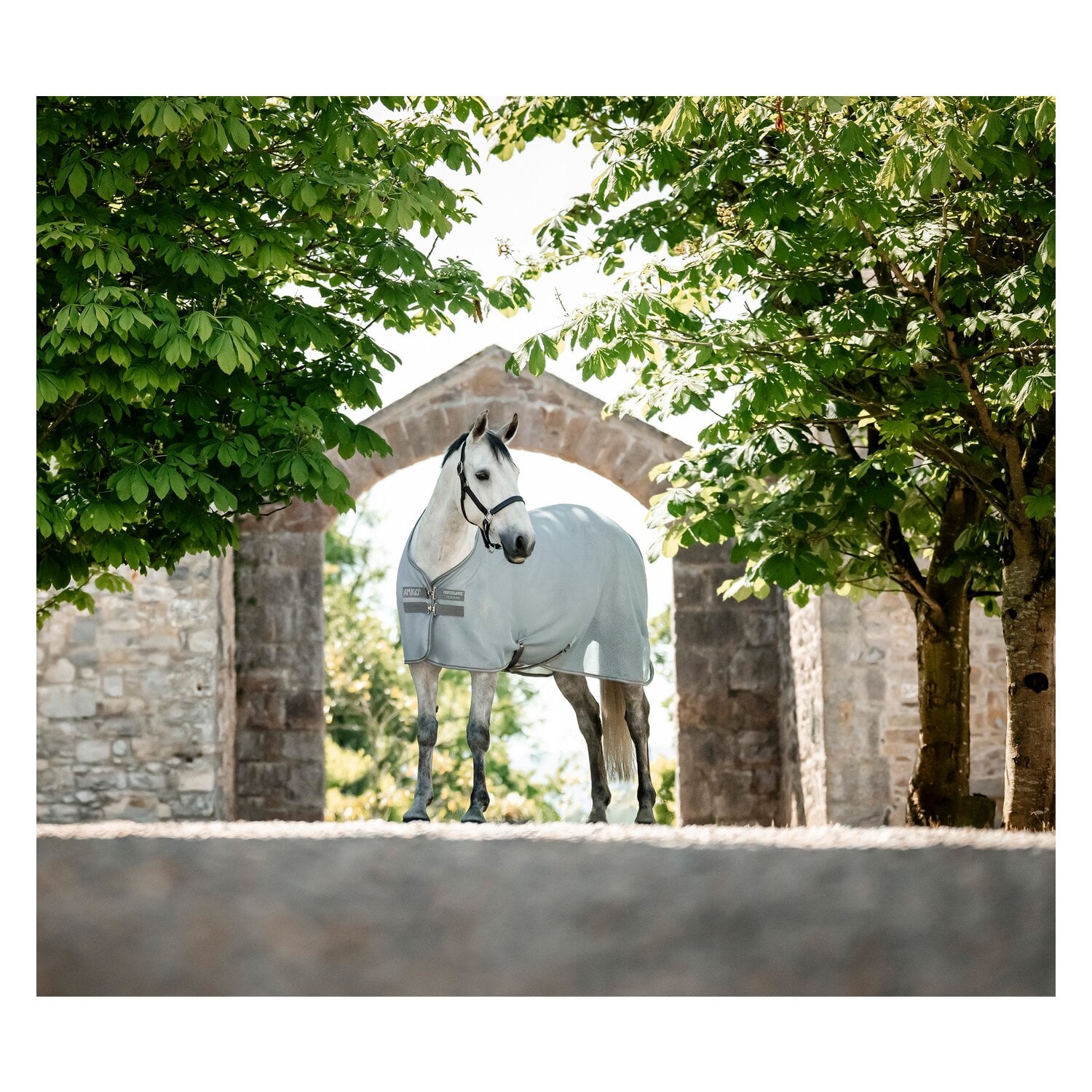 HORSEWARE Abschwitzdecke AMIGO AirNet Cooler &ndash; Ansicht 2