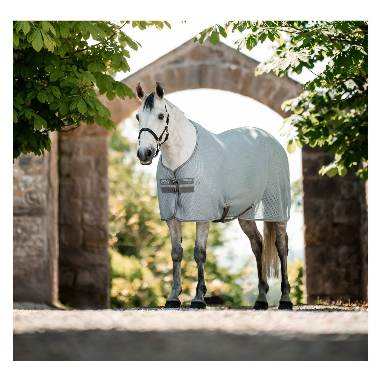 HORSEWARE Abschwitzdecke AMIGO AirNet Cooler &ndash; Ansicht 3