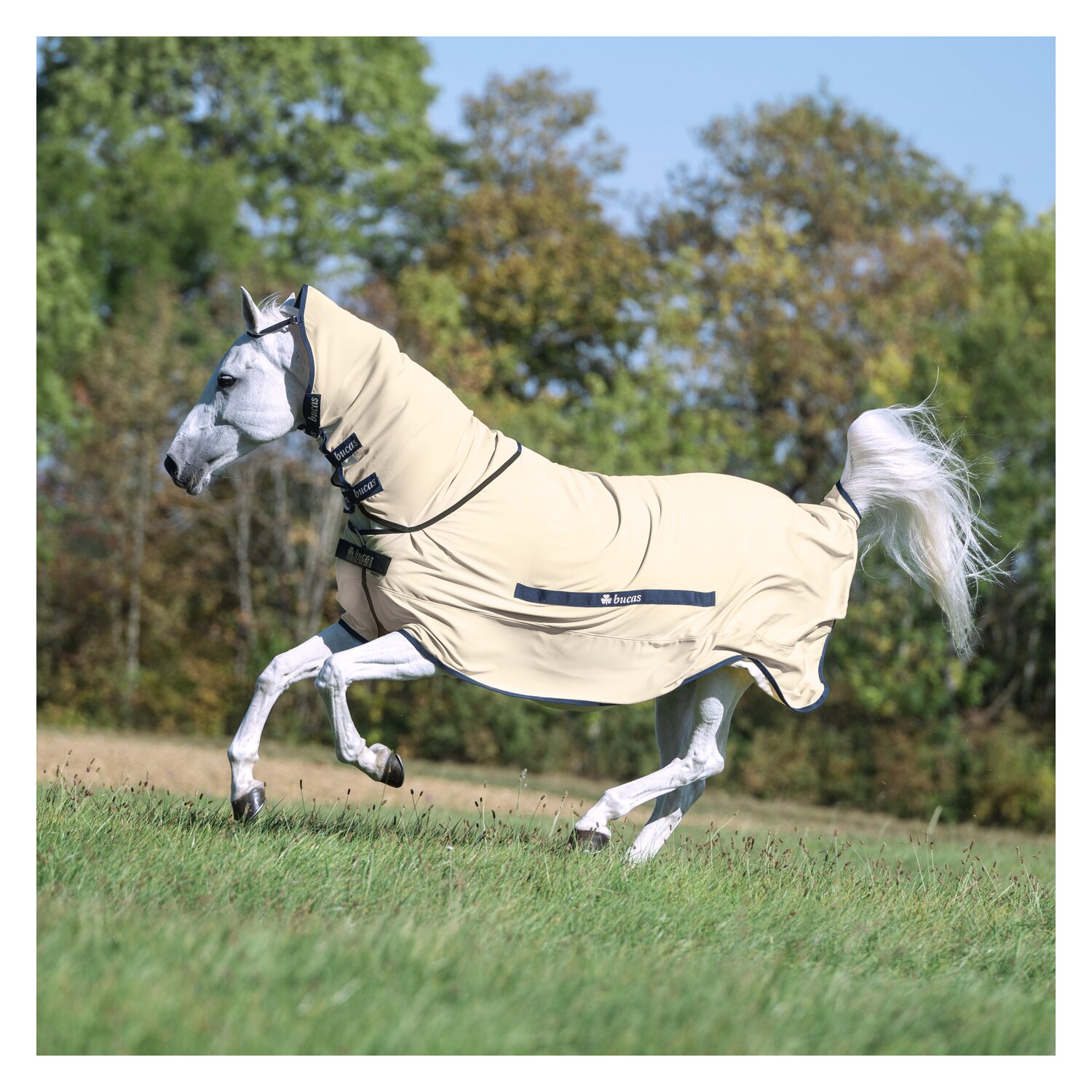 Bucas x Cheval de Luxe Ekzemerdecke – Ansicht 2