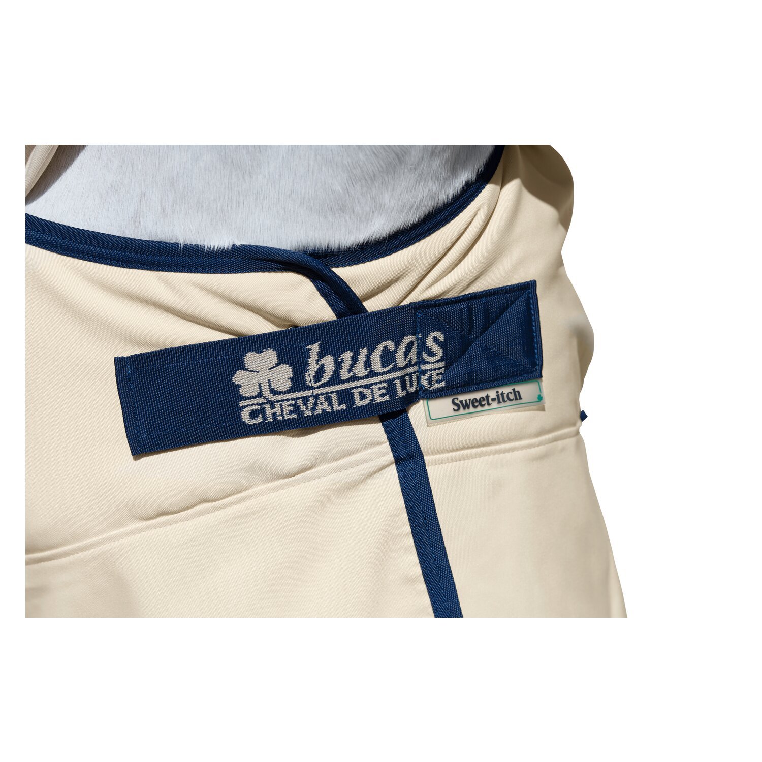Bucas x Cheval de Luxe Ekzemerdecke – Ansicht 4